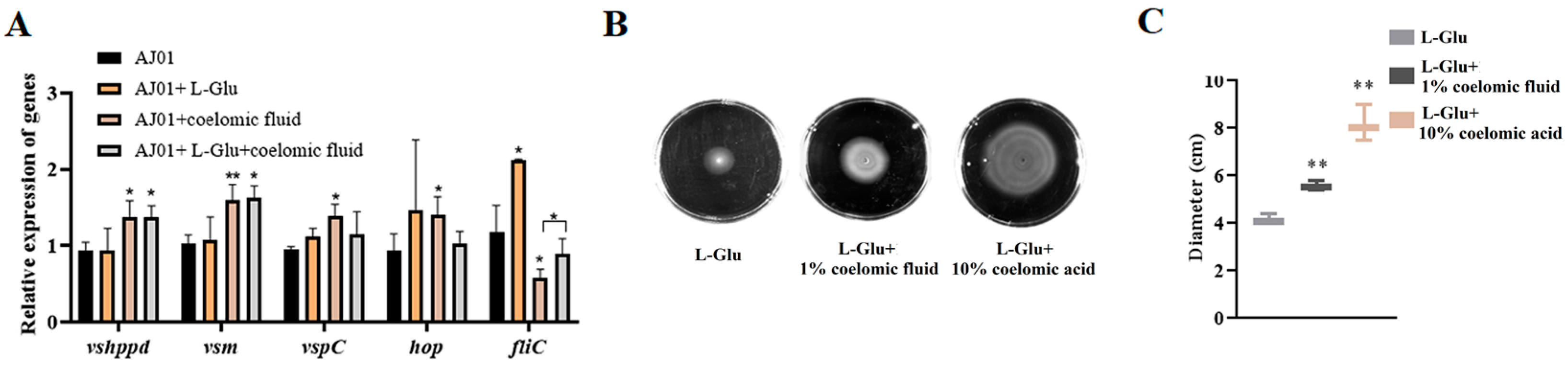 Microorganisms 11 02333 g006 Microorganisms 11 02333 g006
