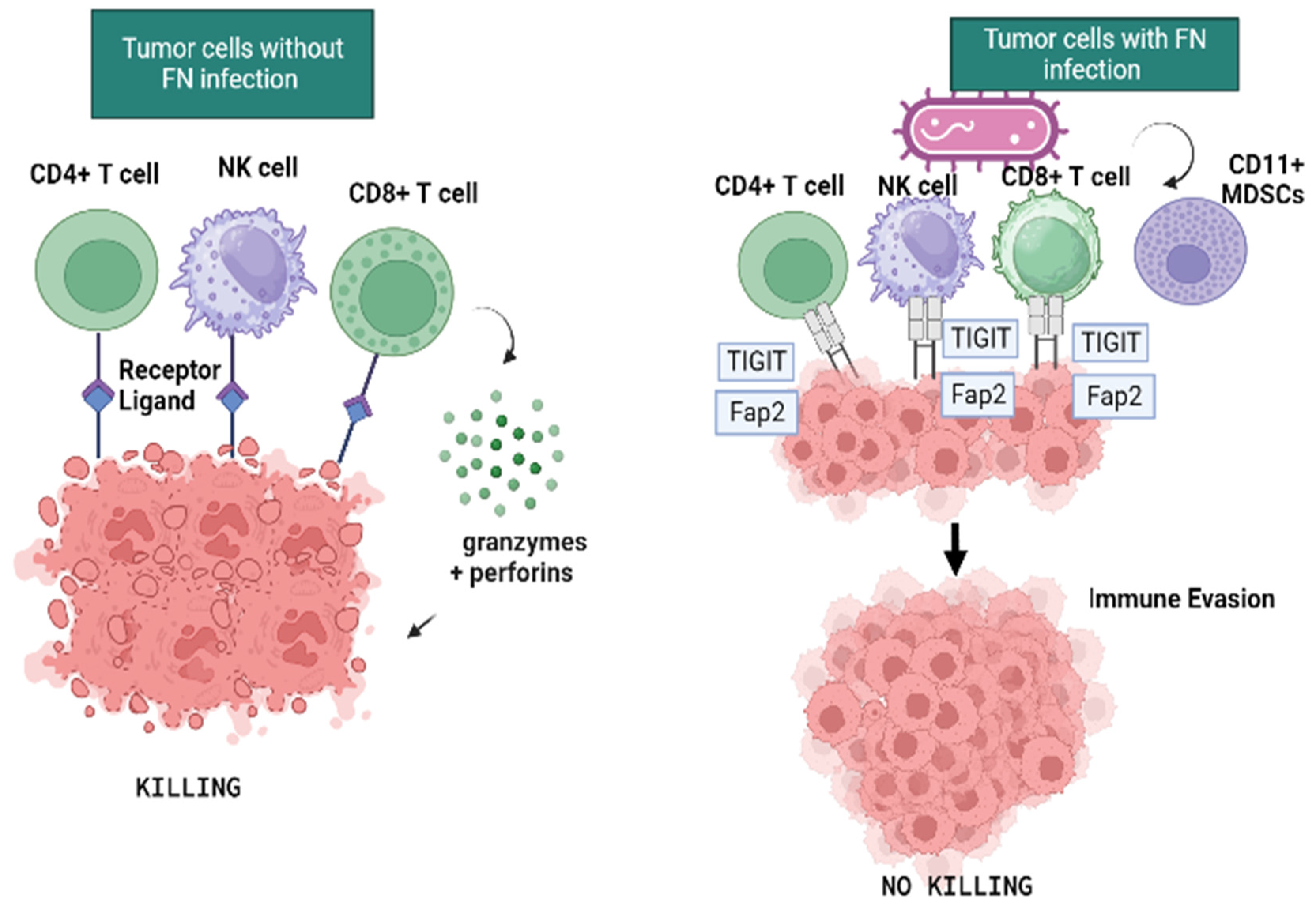 Microorganisms 11 02358 g002
