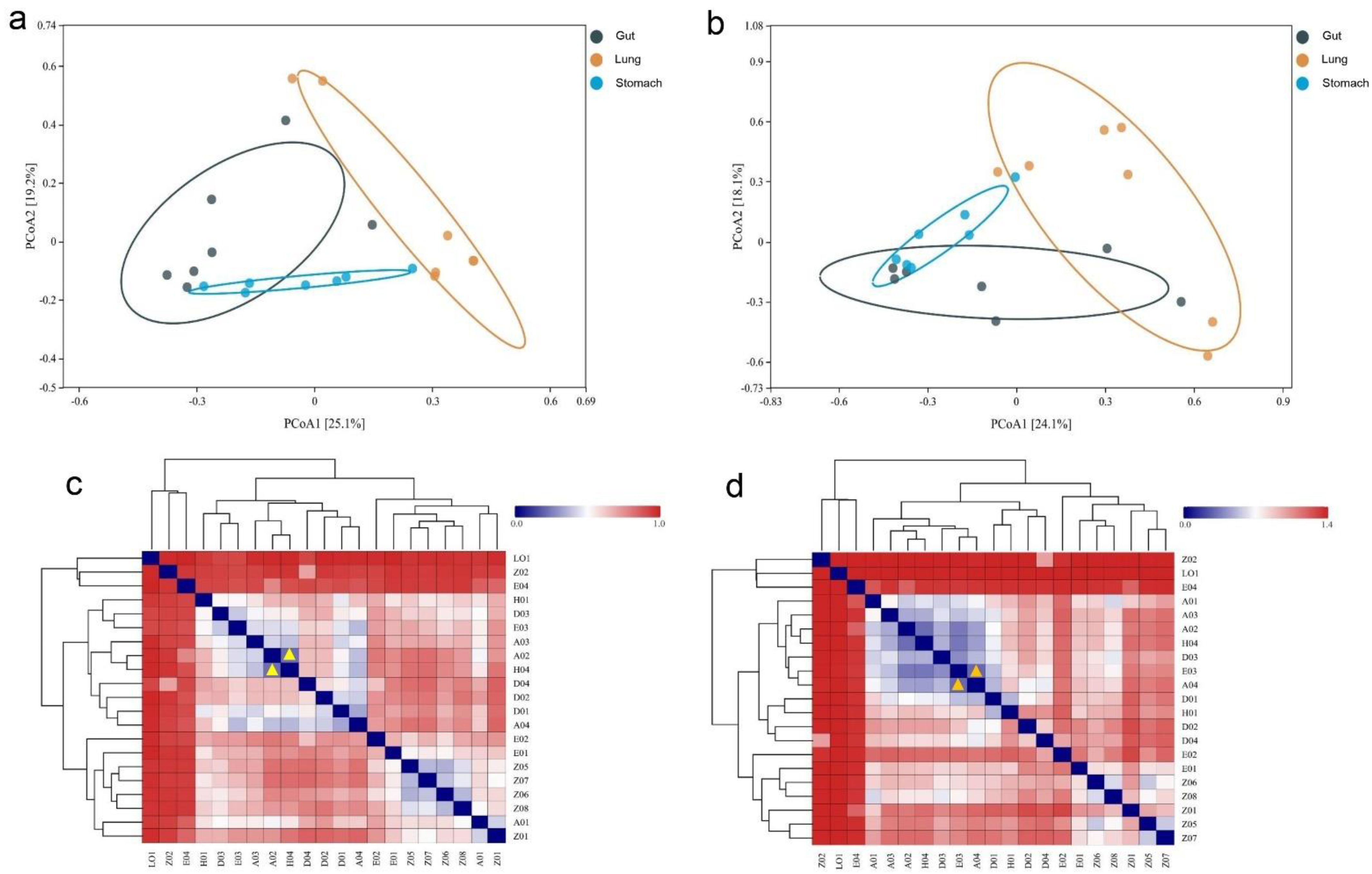 Microorganisms 11 02359 g003