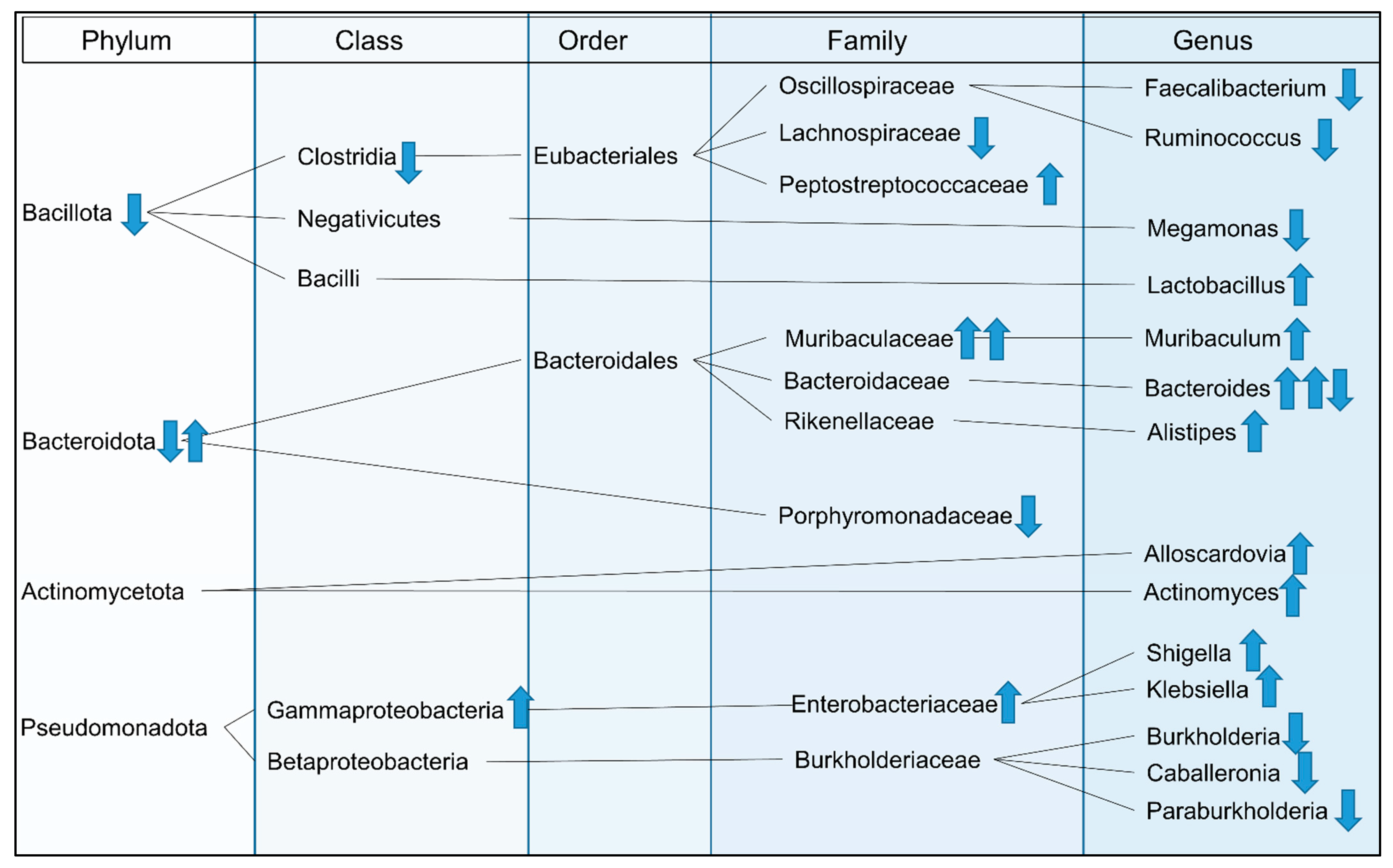 Microorganisms 11 02363 g004