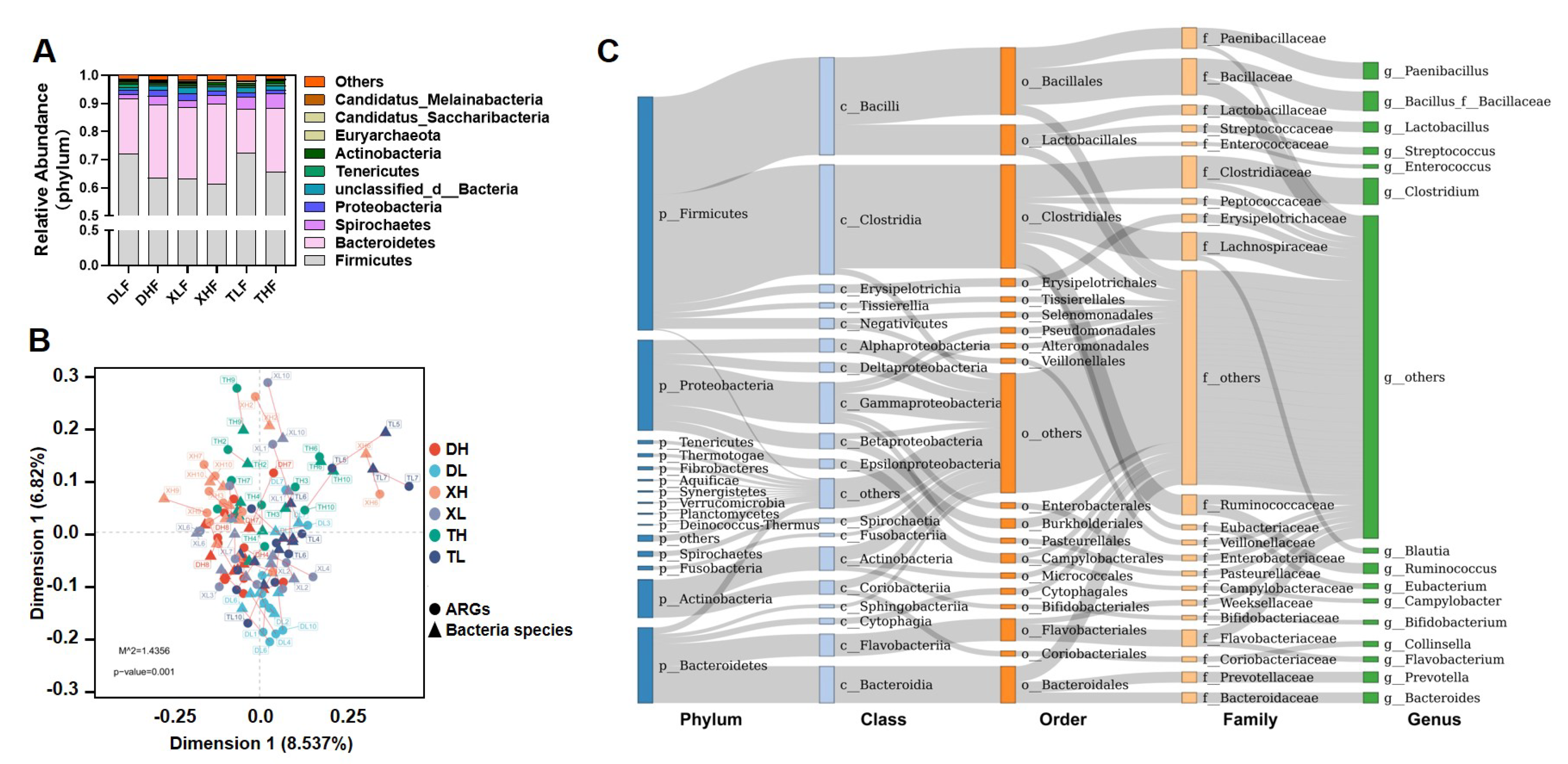 Microorganisms 11 02370 g004