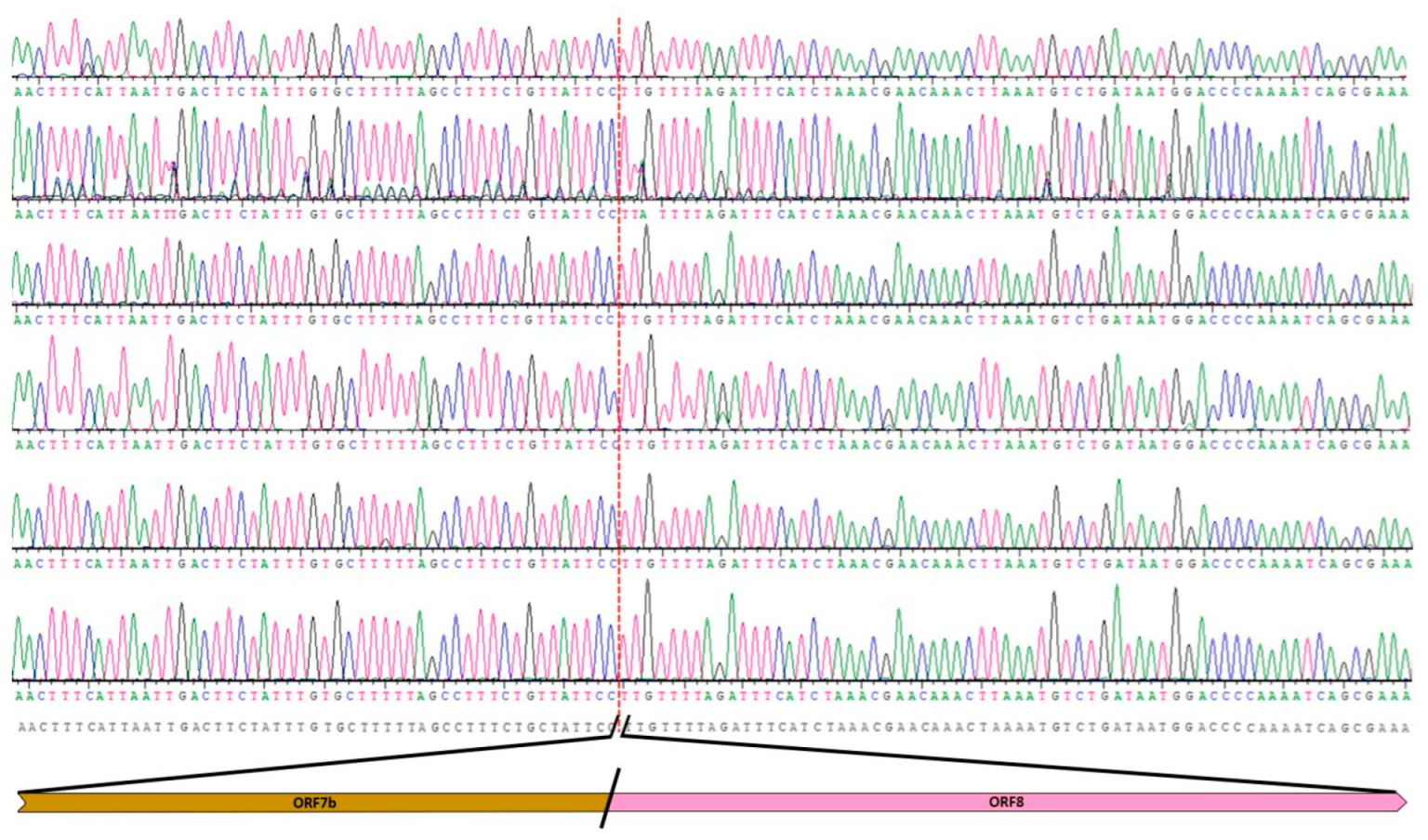 Microorganisms 11 02378 g003