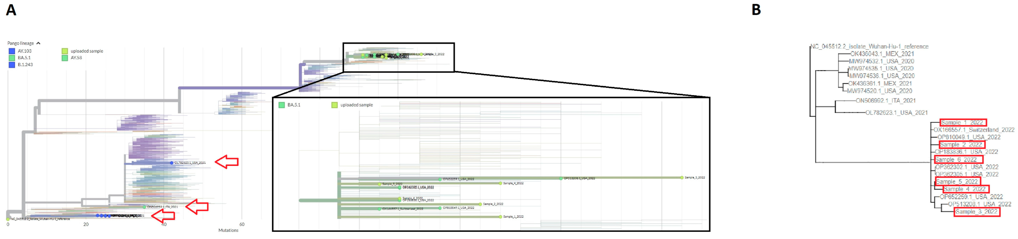 Microorganisms 11 02378 g004
