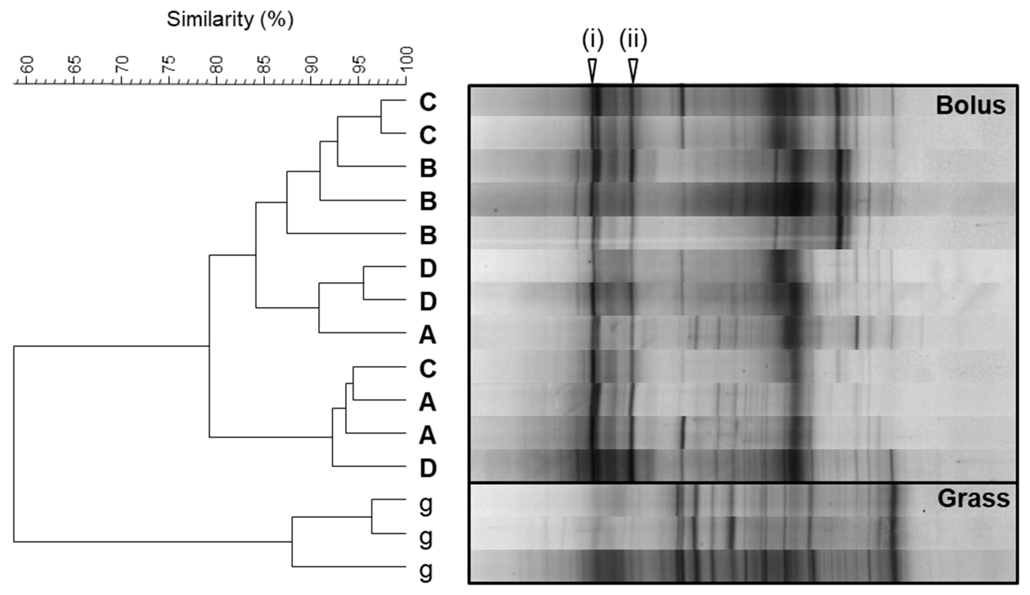 Microorganisms 11 02390 g002