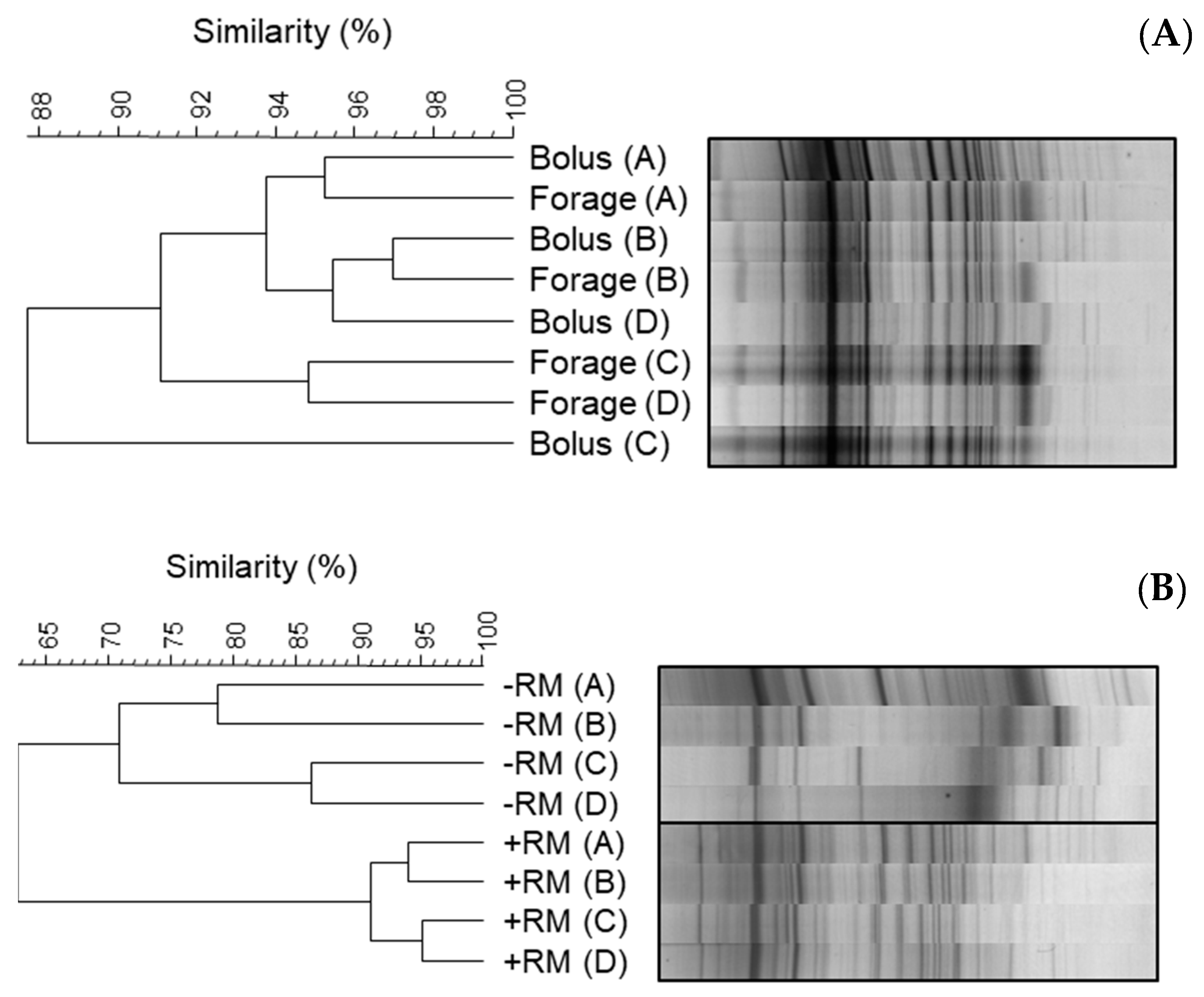 Microorganisms 11 02390 g003