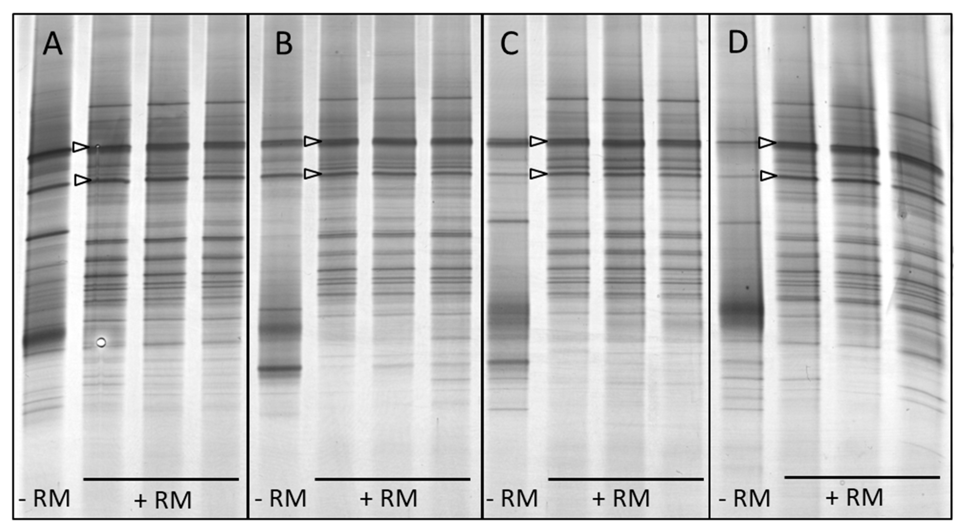 Microorganisms 11 02390 g004