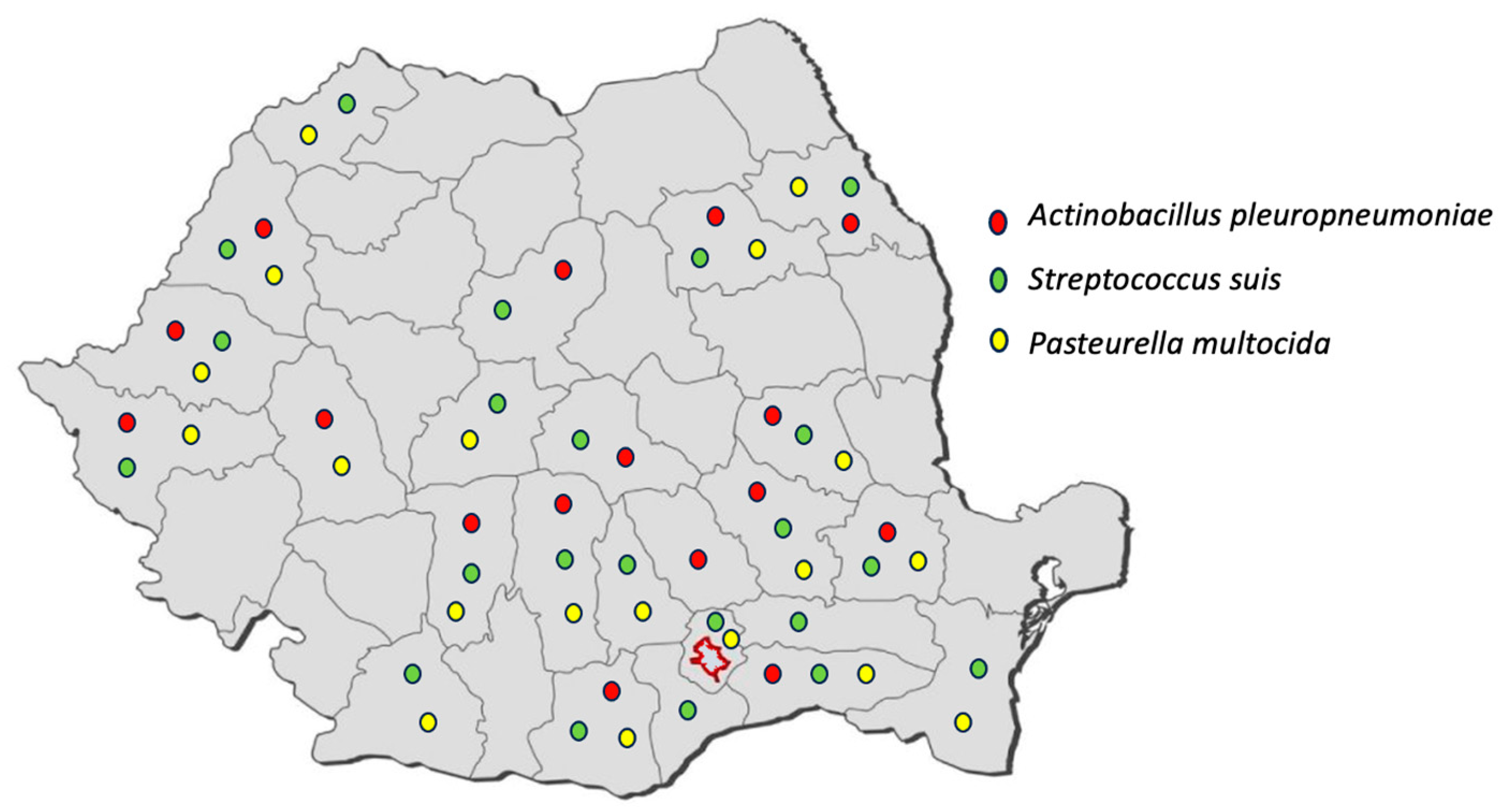 Microorganisms 11 02410 g001