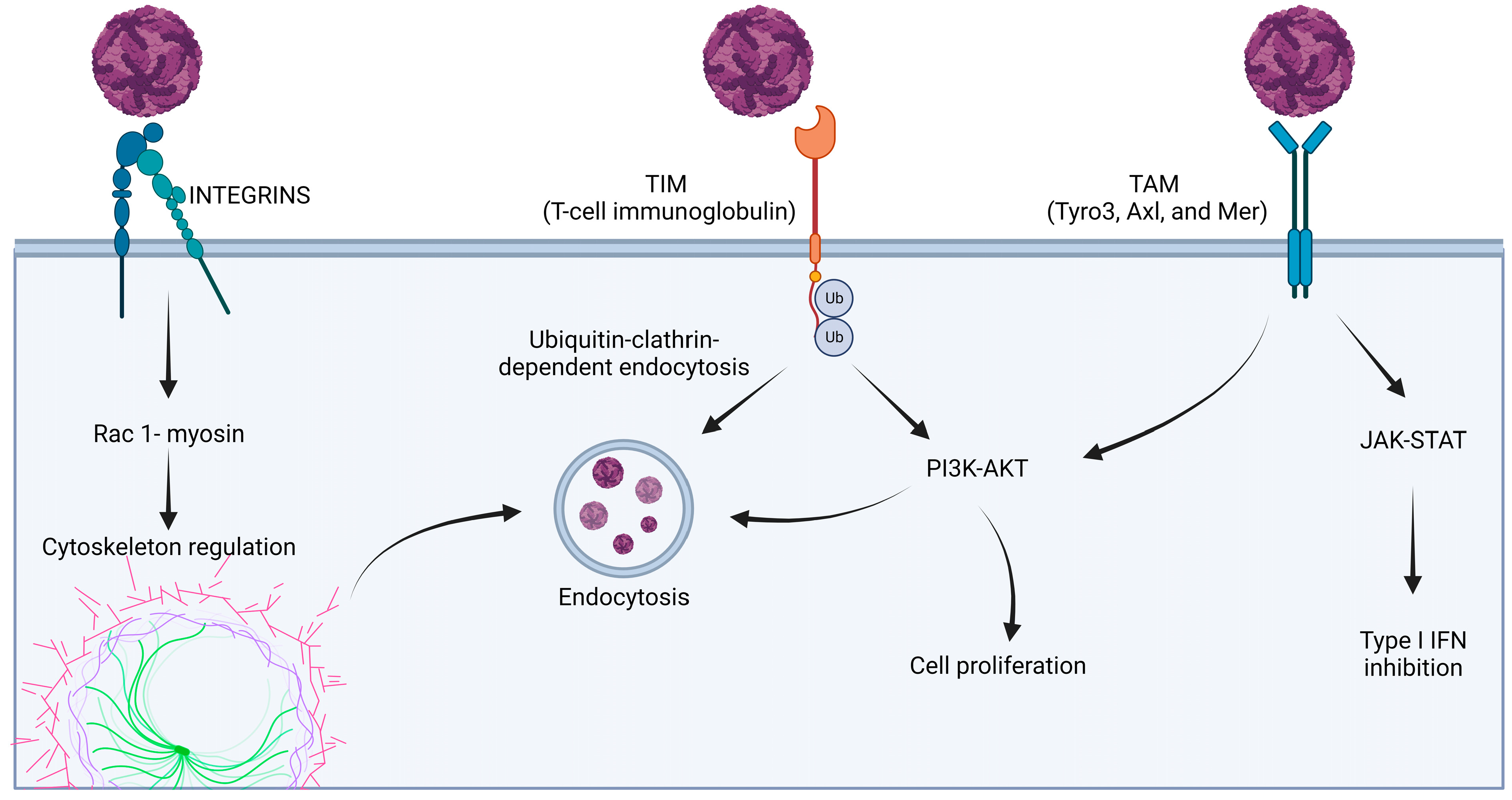 Microorganisms 11 02427 g003 Microorganisms 11 02427 g003