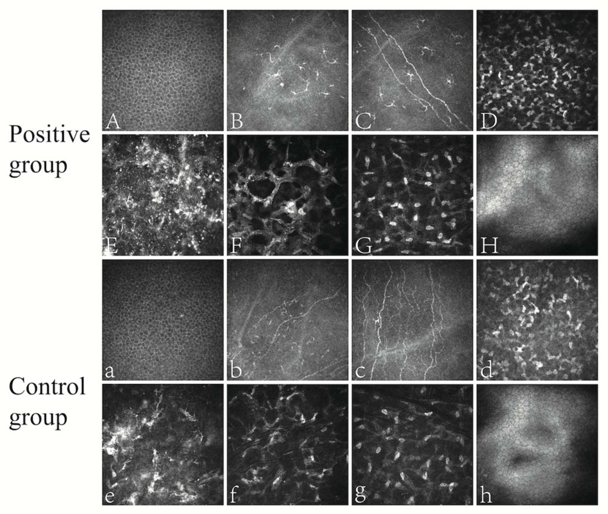 Microorganisms 11 02441 g001 Microorganisms 11 02441 g001