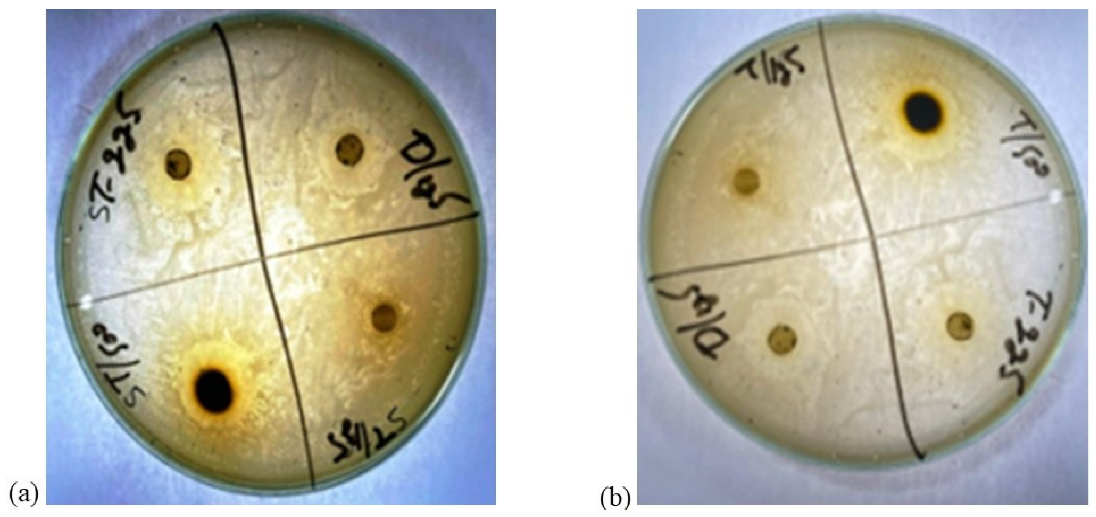 Microorganisms 11 02450 g001