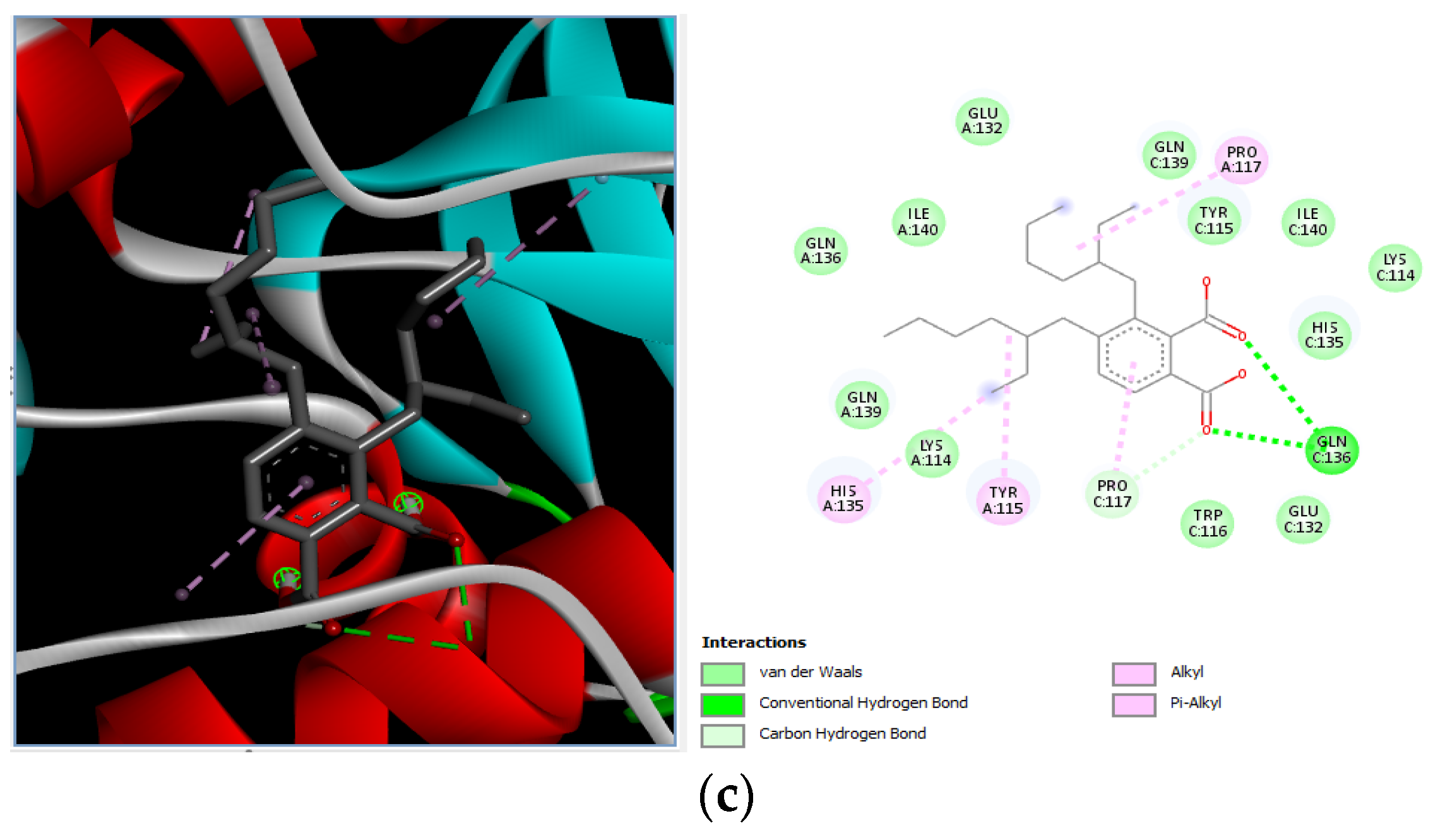 Microorganisms 11 02450 g006b