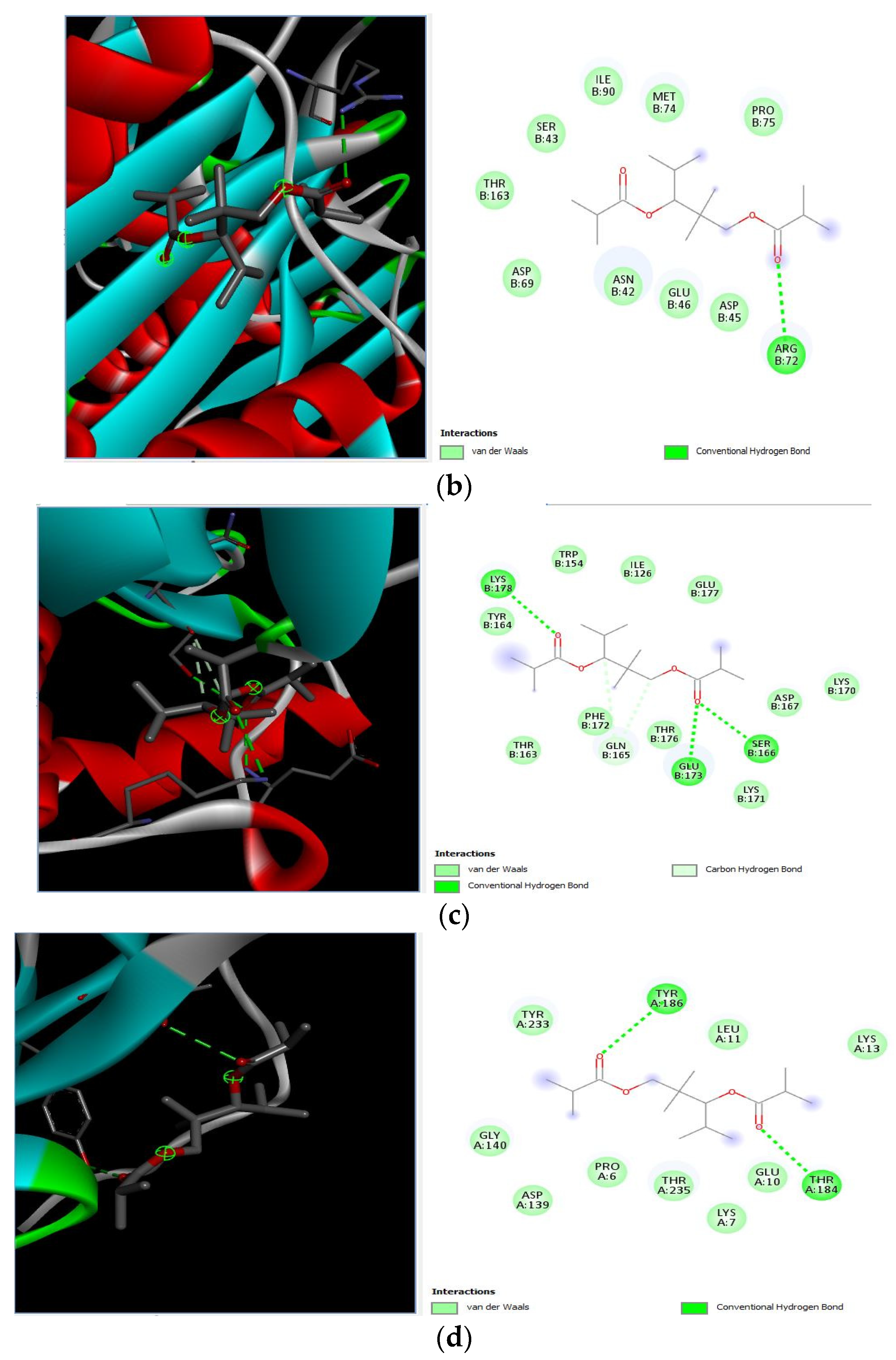 Microorganisms 11 02450 g010b