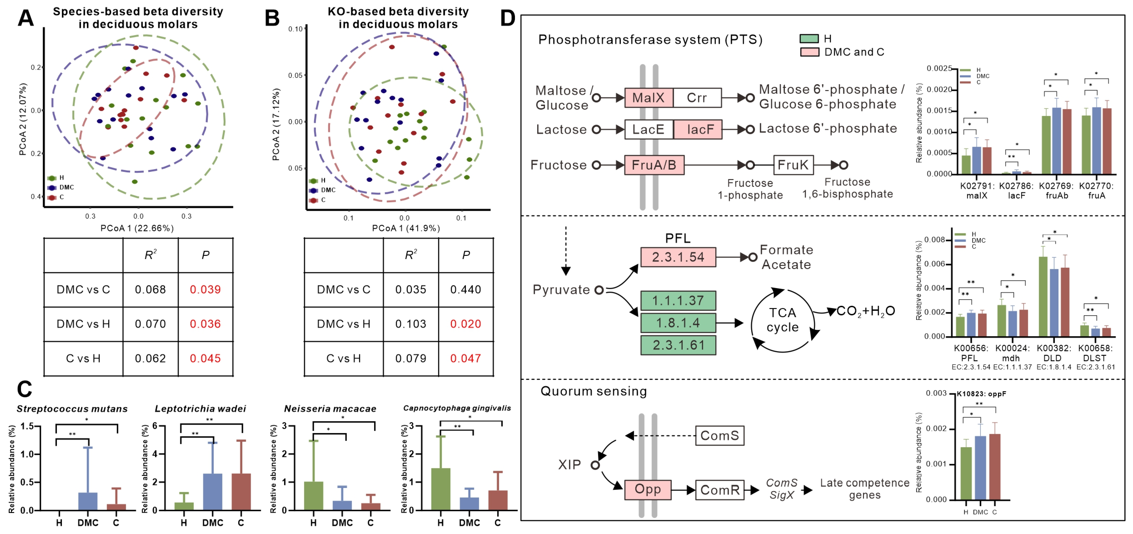 Microorganisms 11 02461 g001 Microorganisms 11 02461 g001