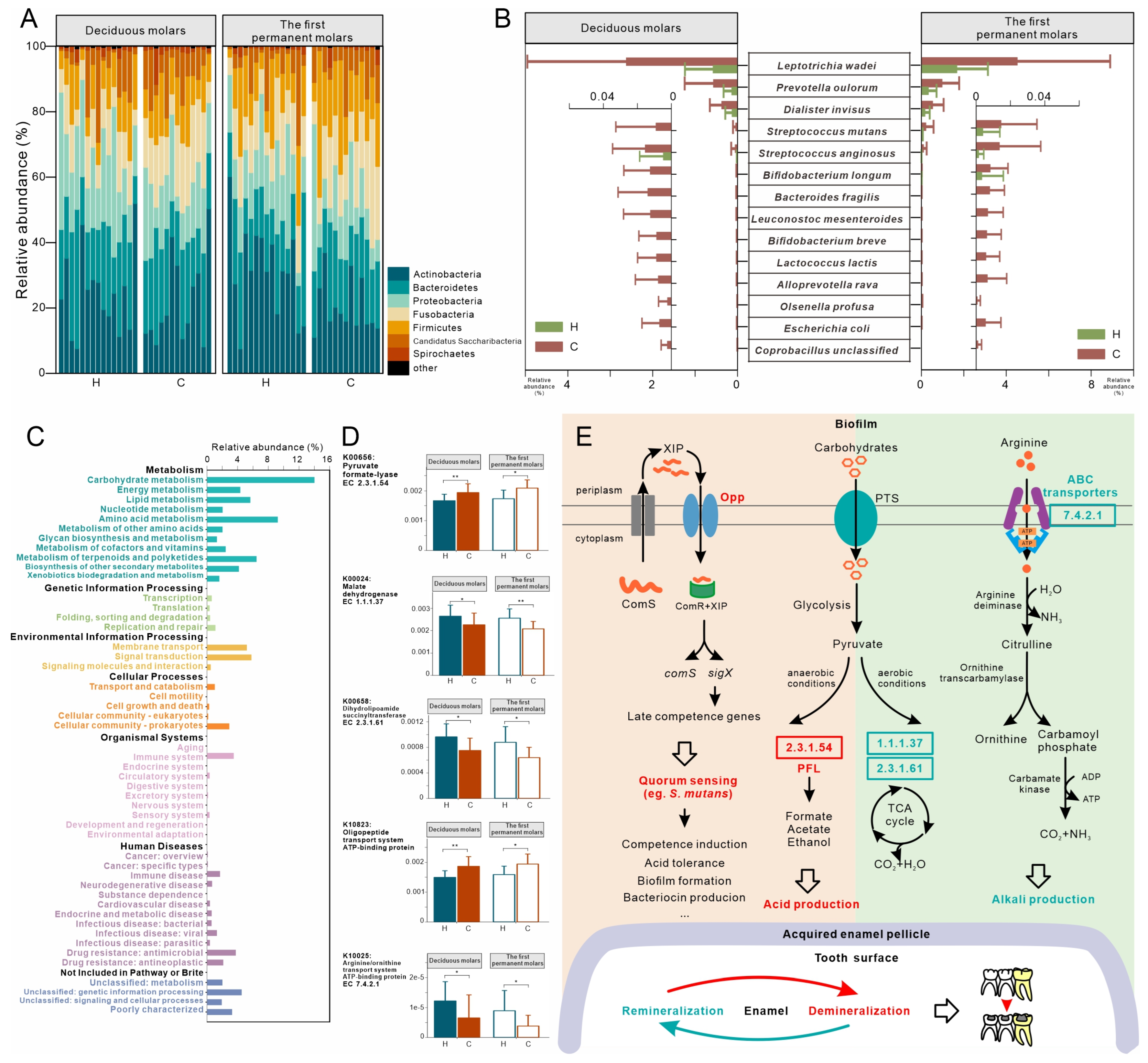 Microorganisms 11 02461 g003 Microorganisms 11 02461 g003