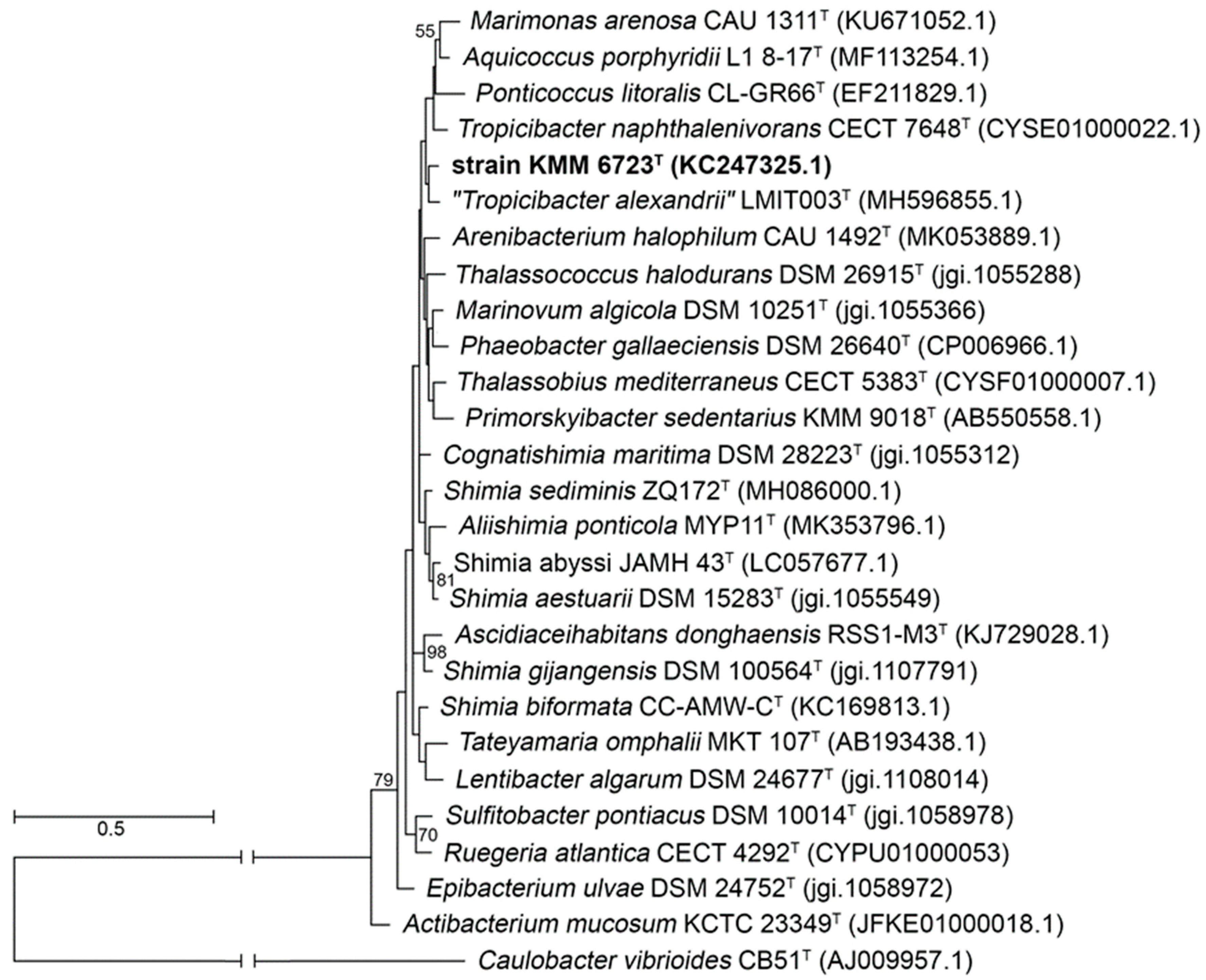 Microorganisms, Free Full-Text