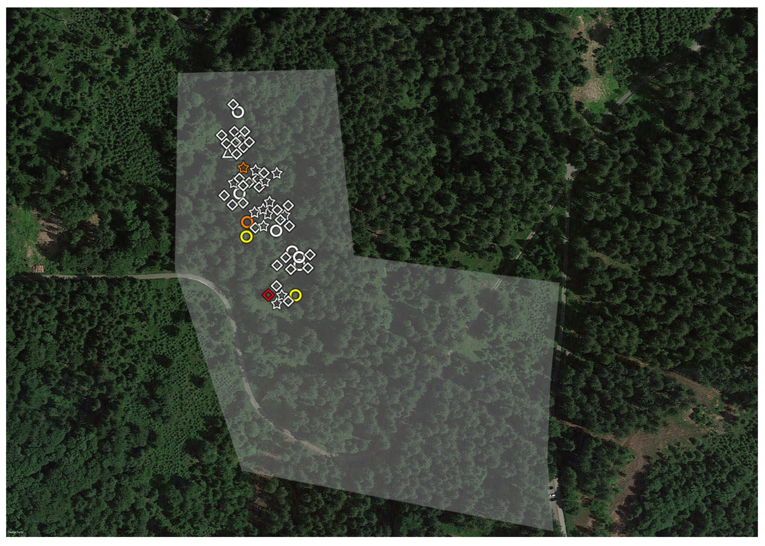Microorganisms 11 02468 g005