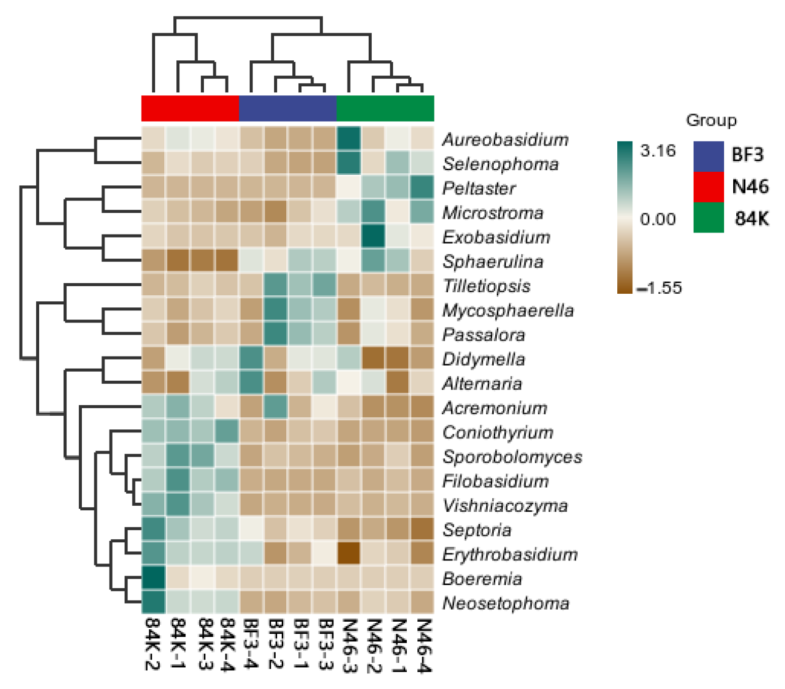 Microorganisms 11 02479 g006
