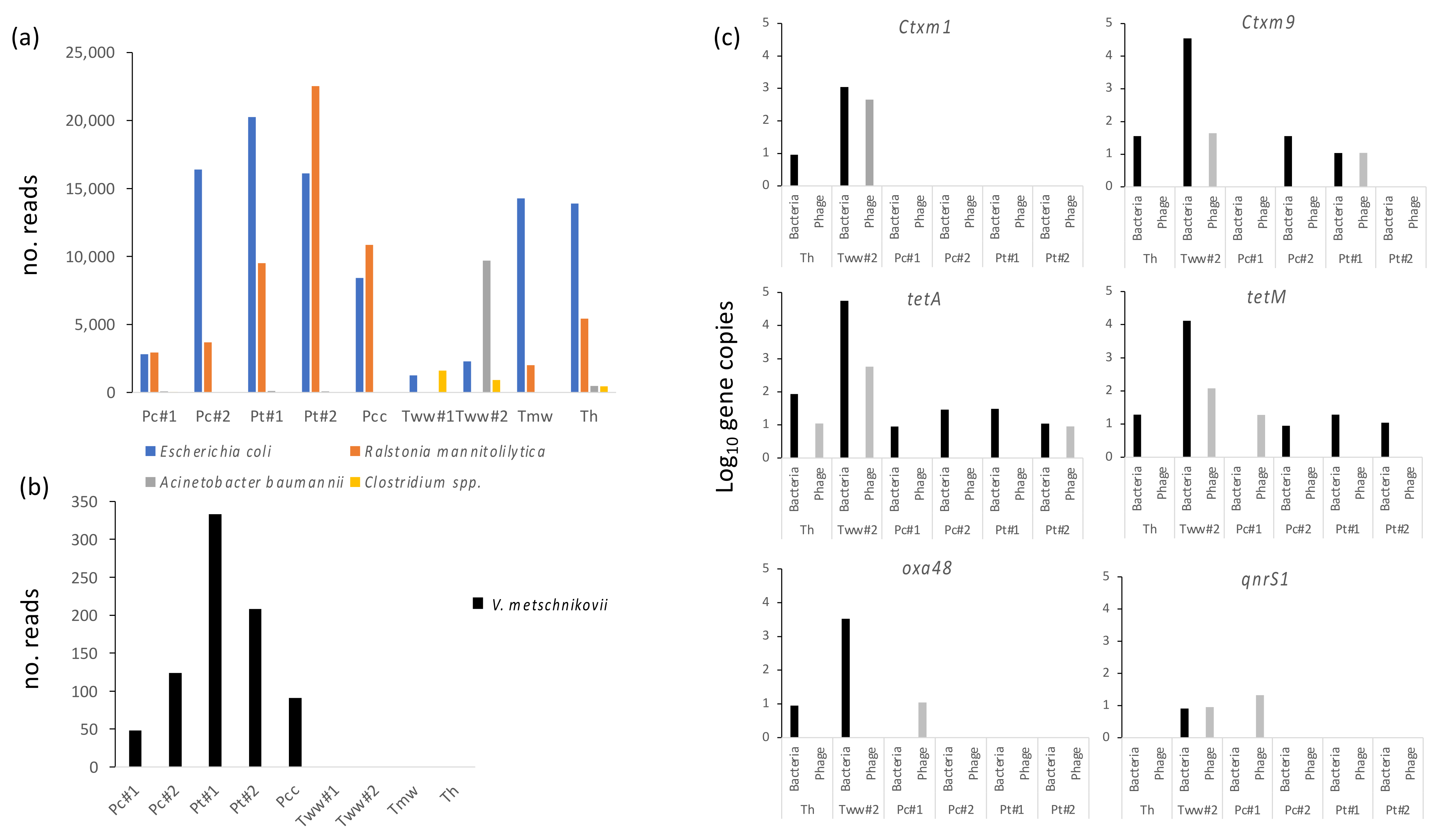 Microorganisms 11 02490 g003