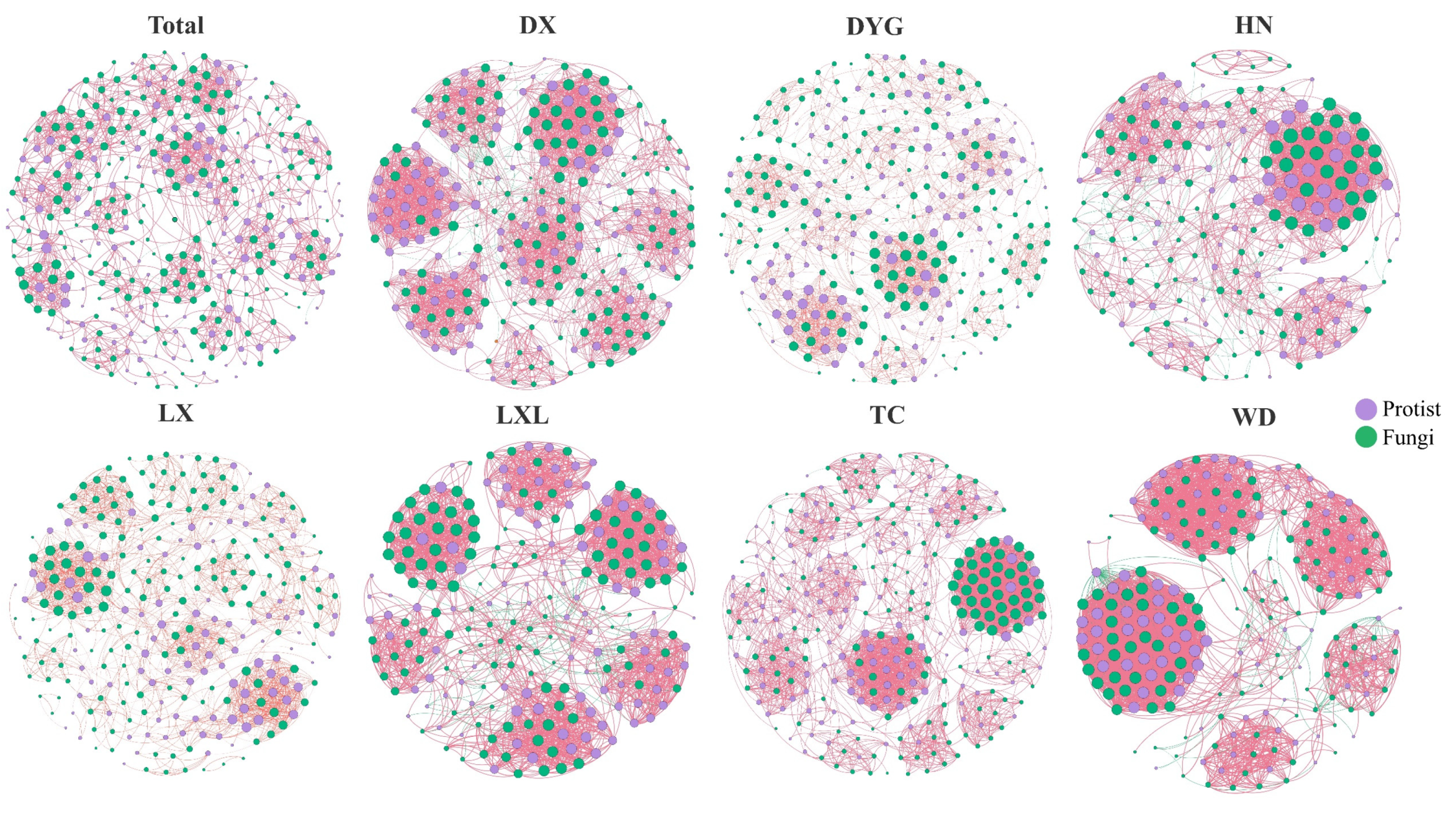 Microorganisms 11 02510 g005