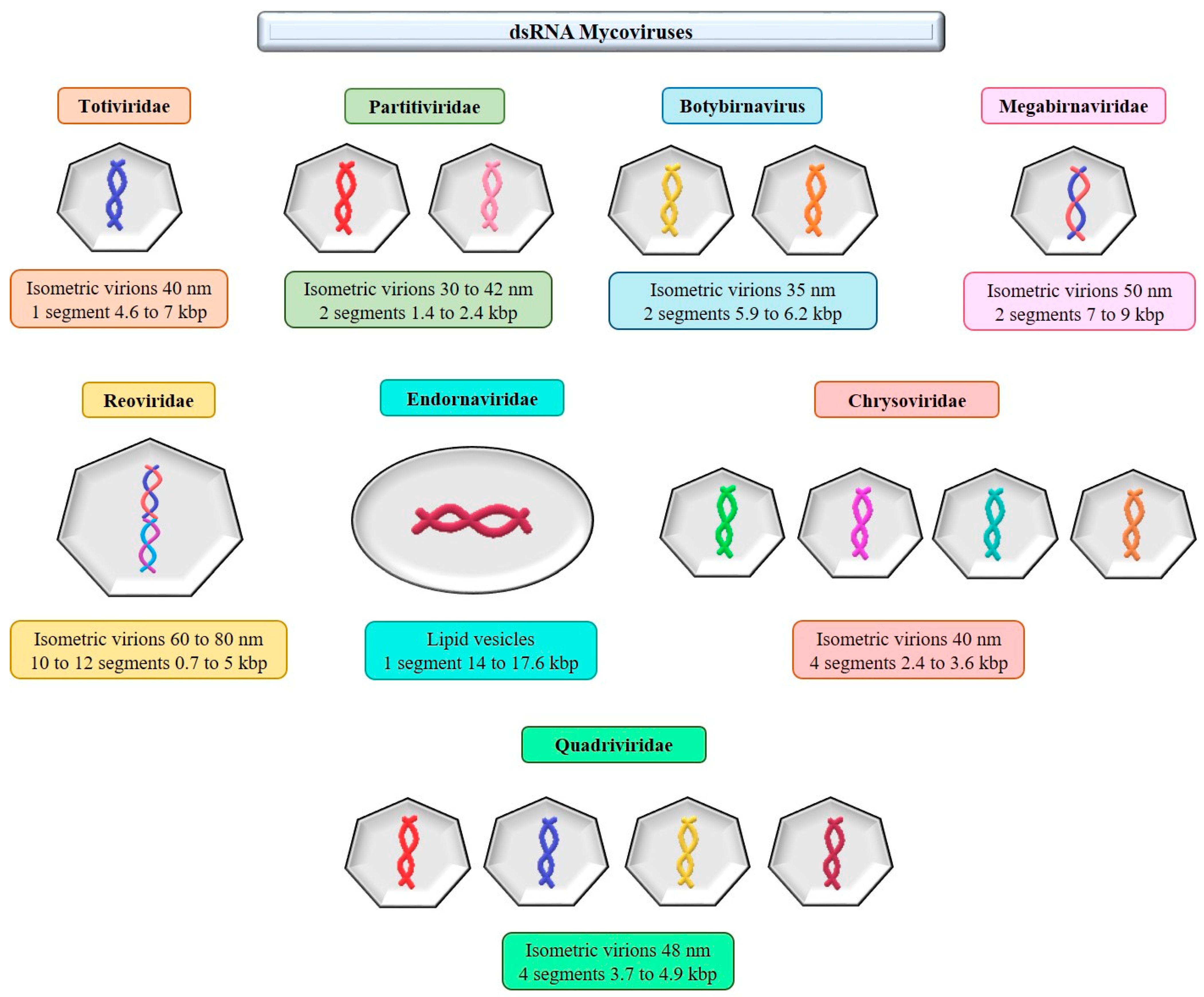 Microorganisms 11 02515 g0a2 Microorganisms 11 02515 g0a2