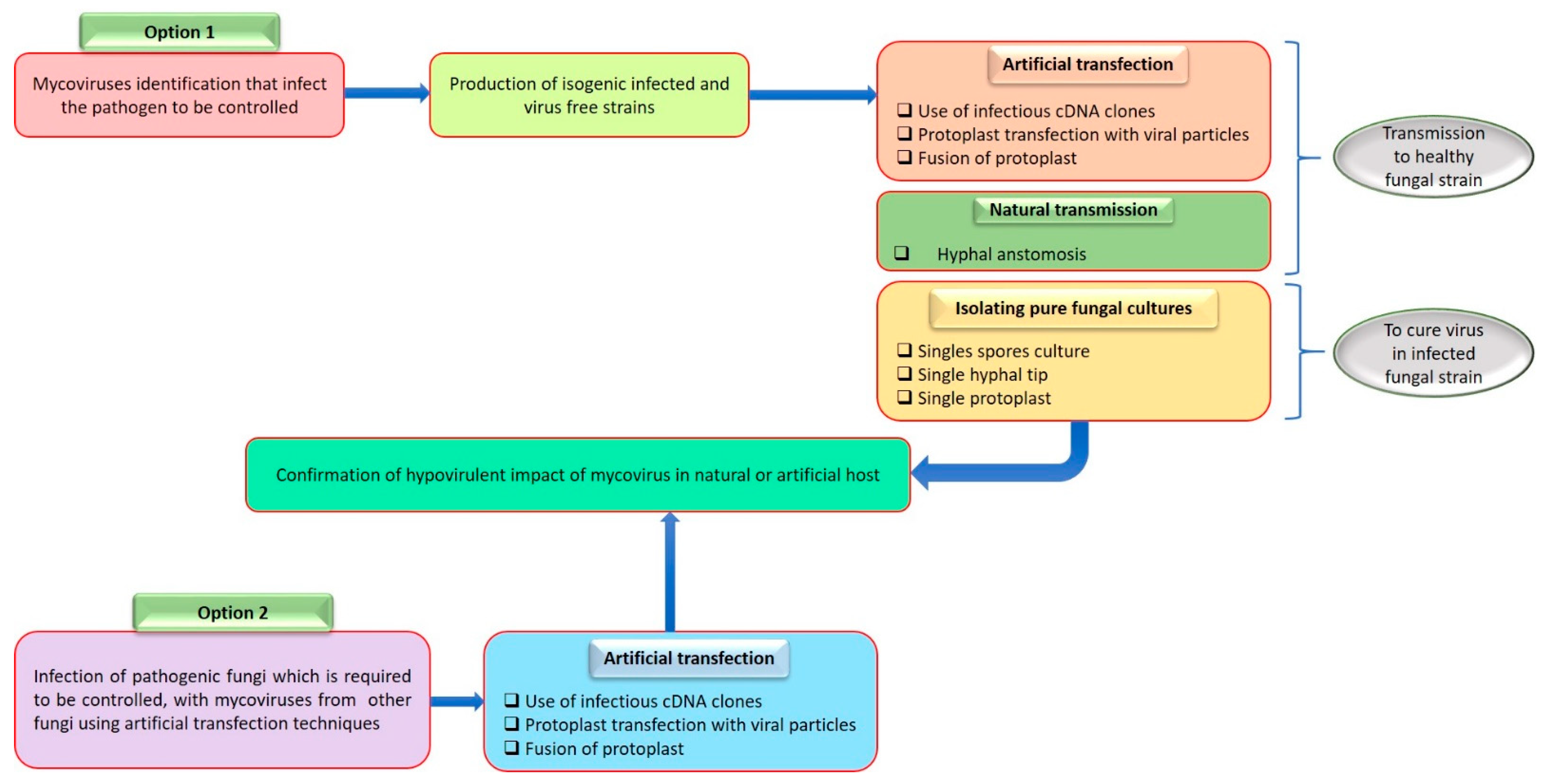 Microorganisms 11 02515 g0a4 Microorganisms 11 02515 g0a4