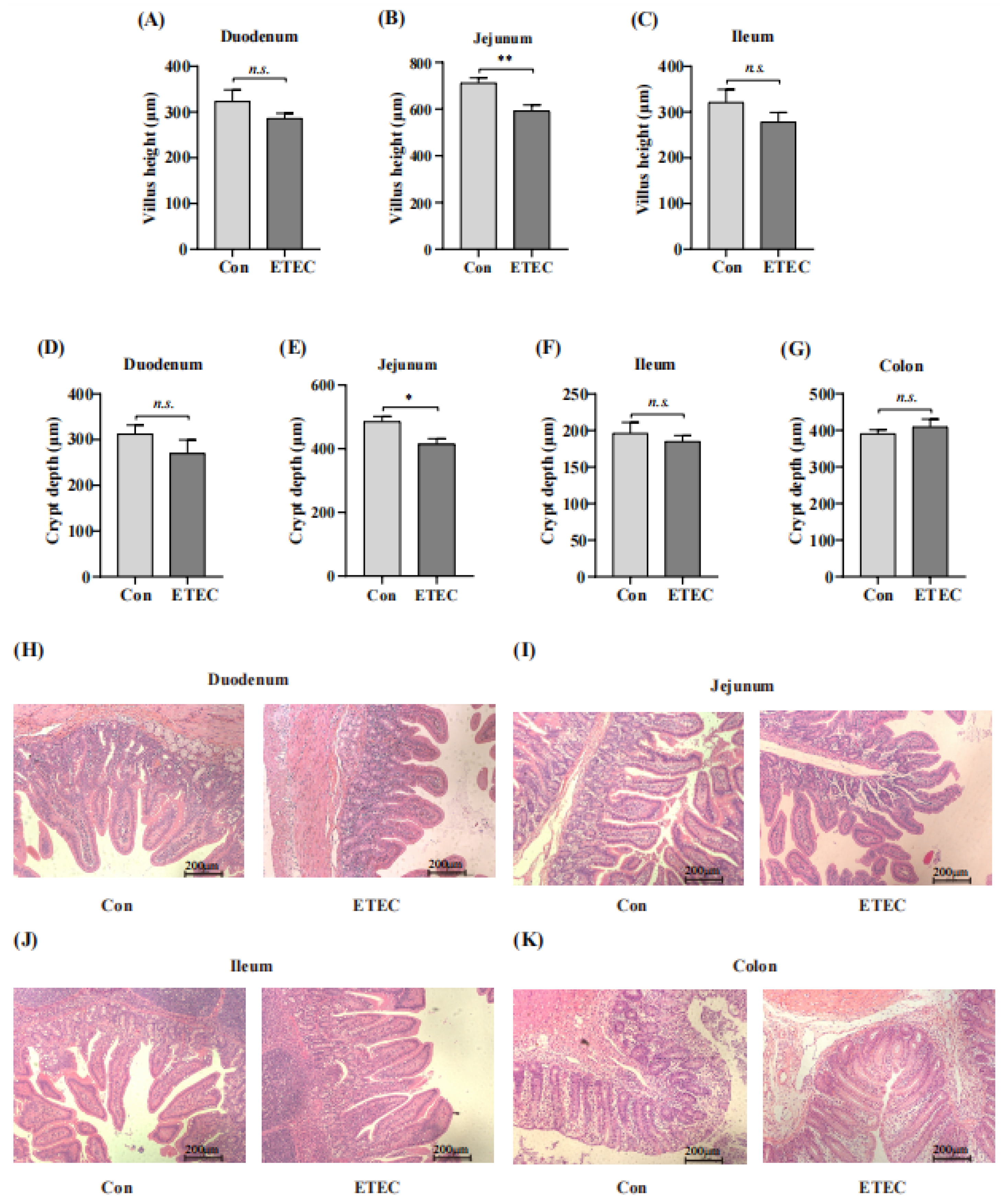 Microorganisms 11 02646 g003