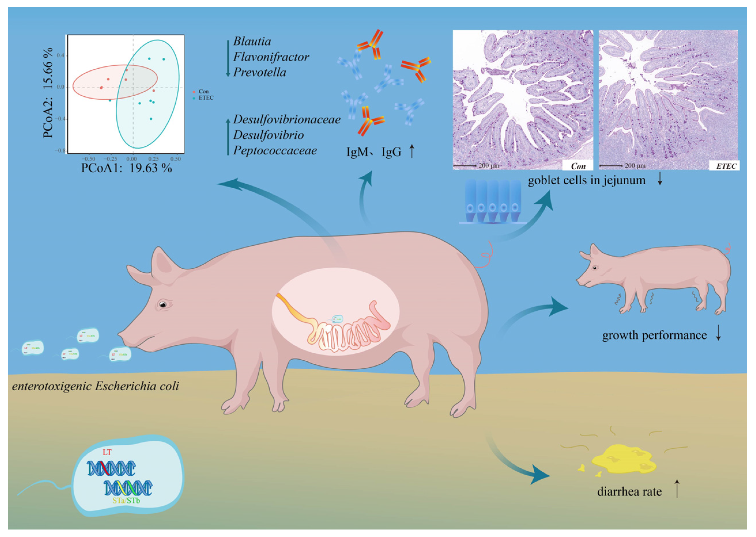 Microorganisms 11 02646 g006