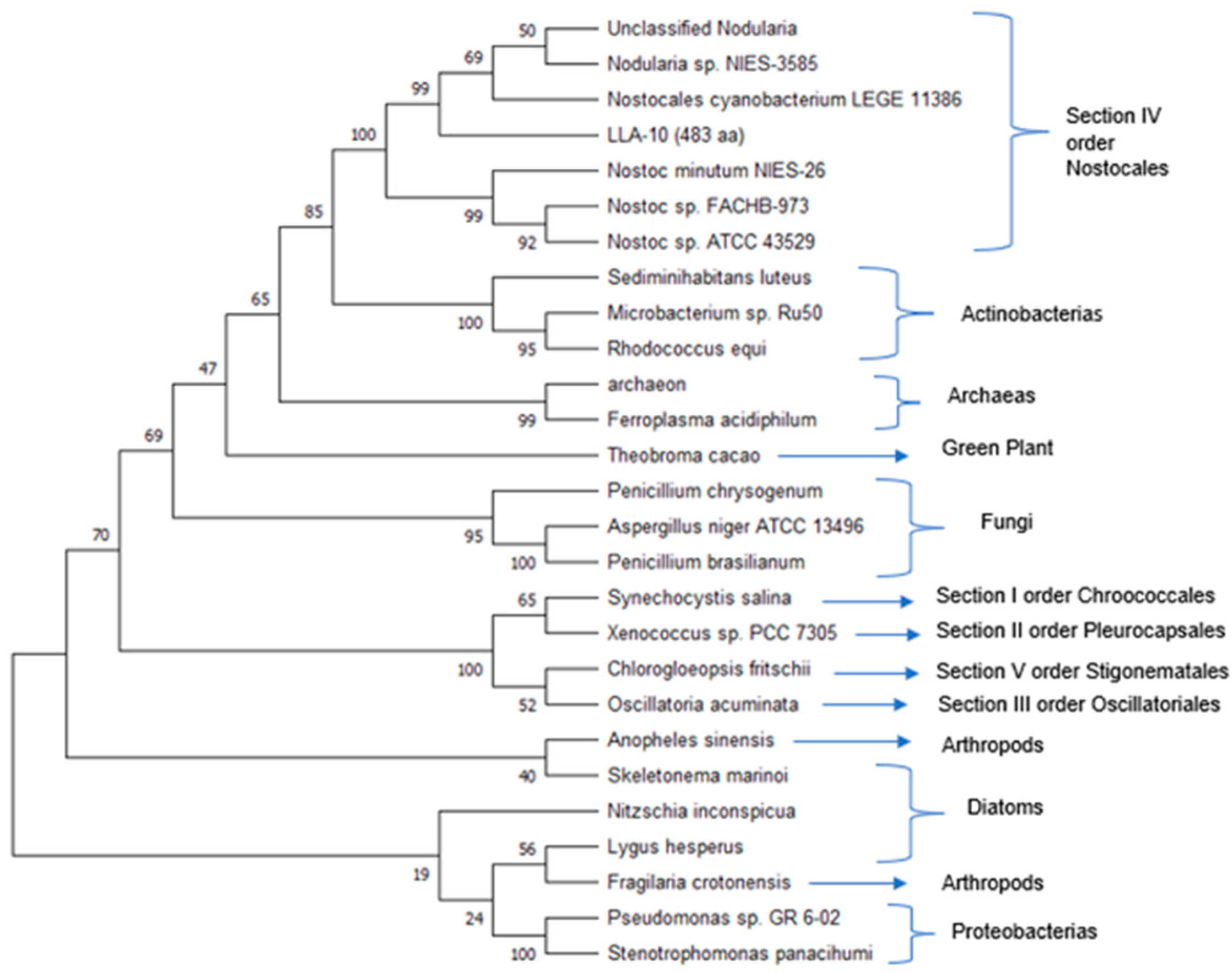 Microorganisms 11 02668 g004 Microorganisms 11 02668 g004