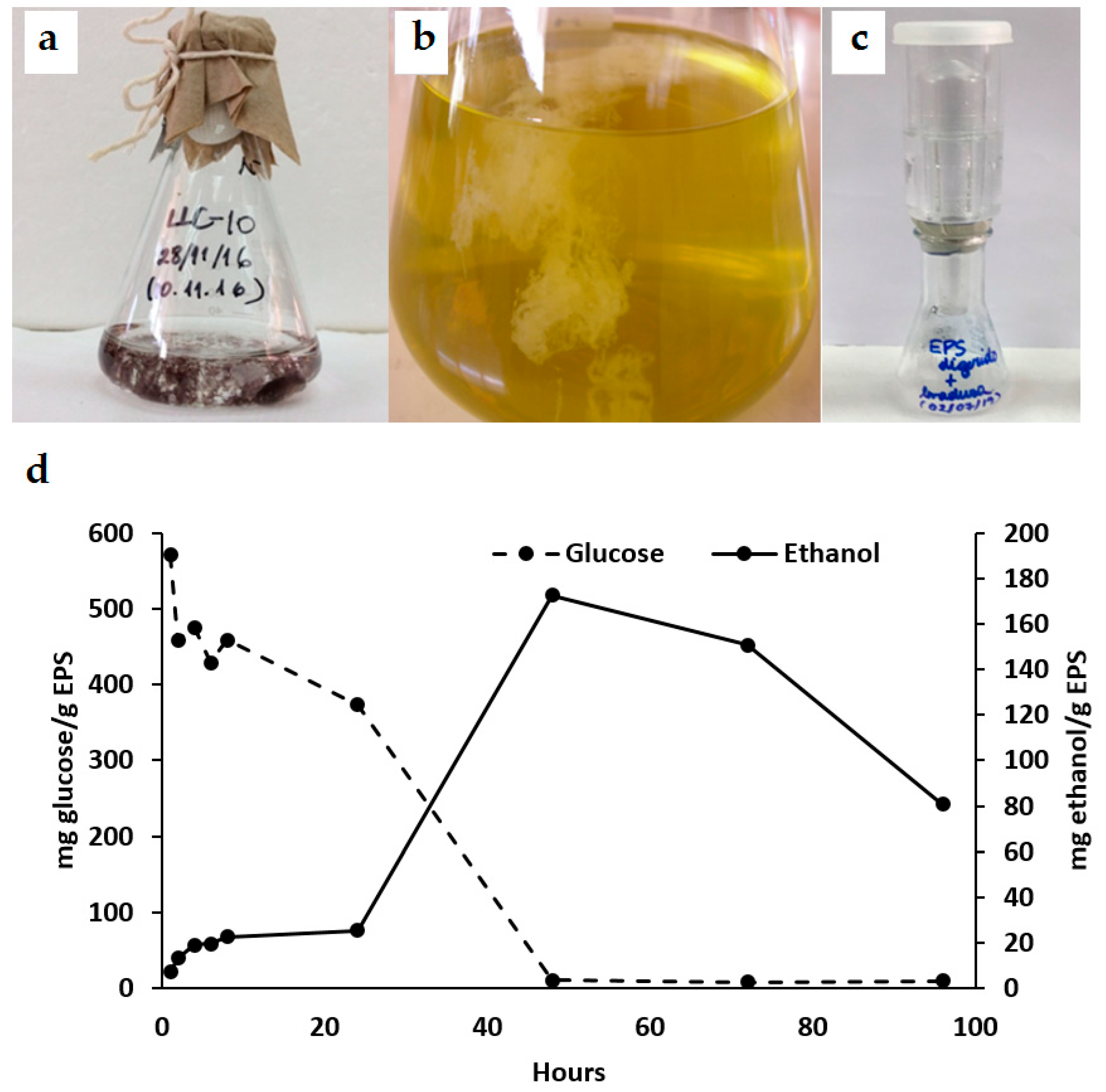 Microorganisms 11 02668 g005 Microorganisms 11 02668 g005