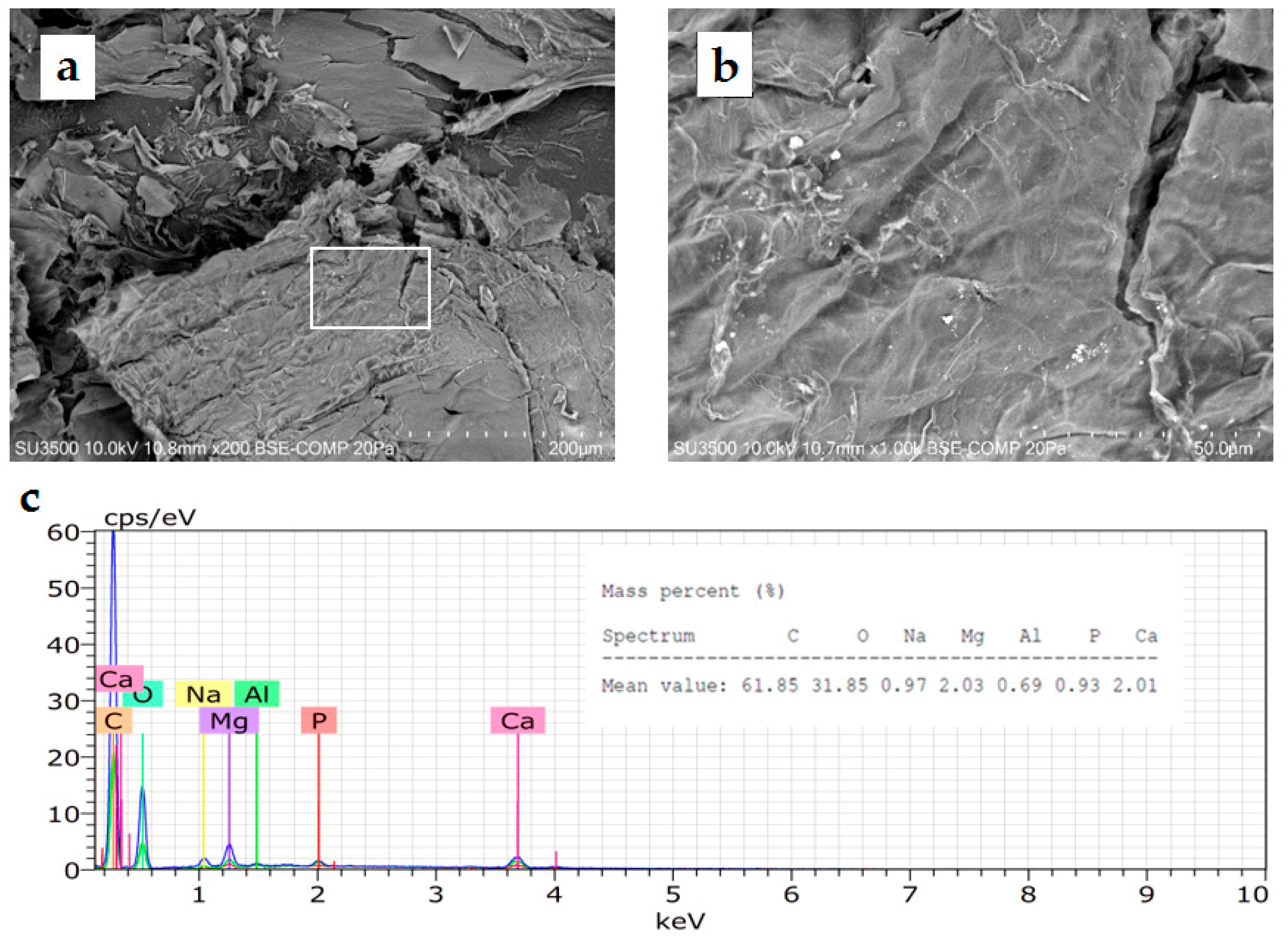 Microorganisms 11 02668 g006 Microorganisms 11 02668 g006