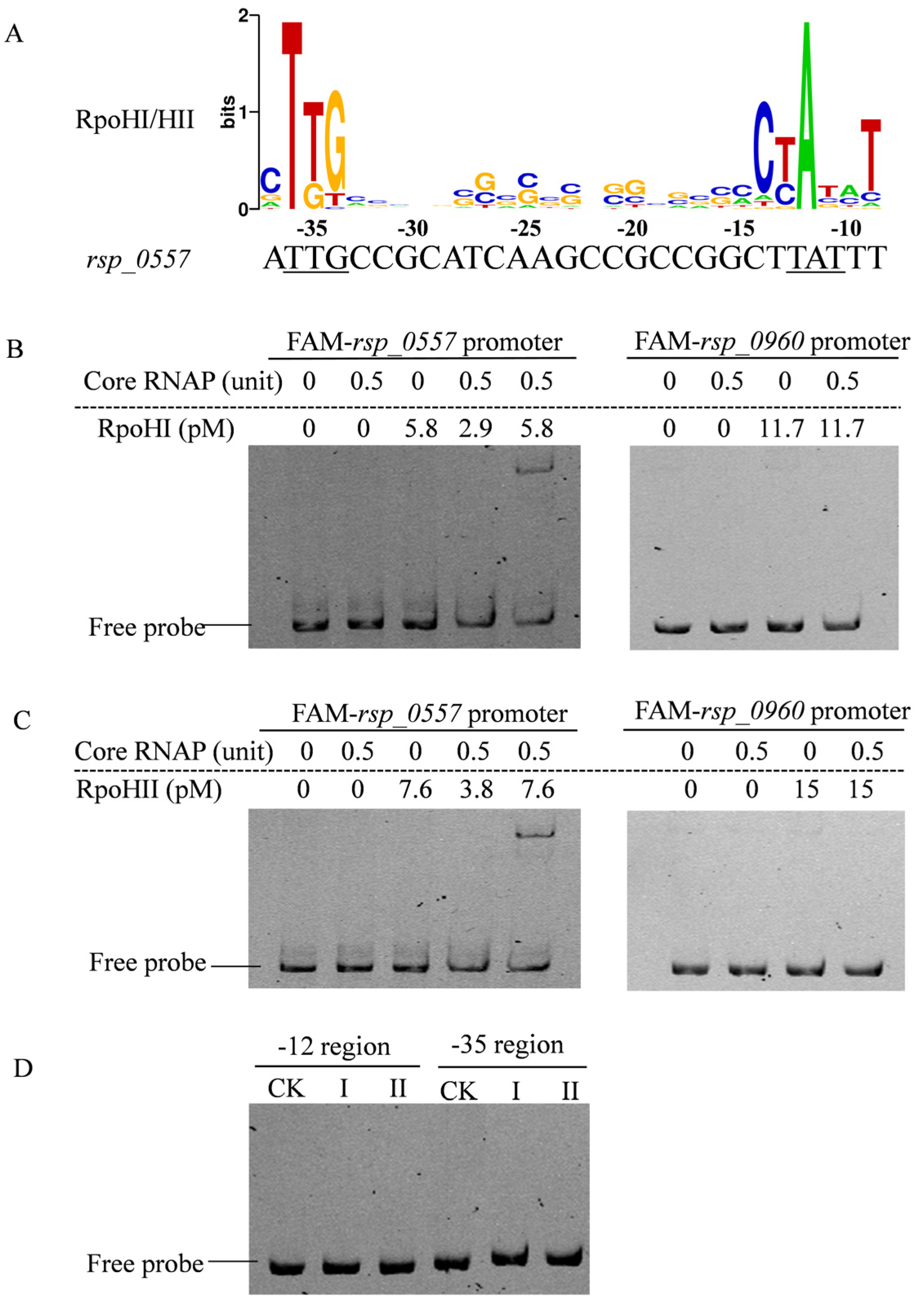 Microorganisms 11 02678 g001