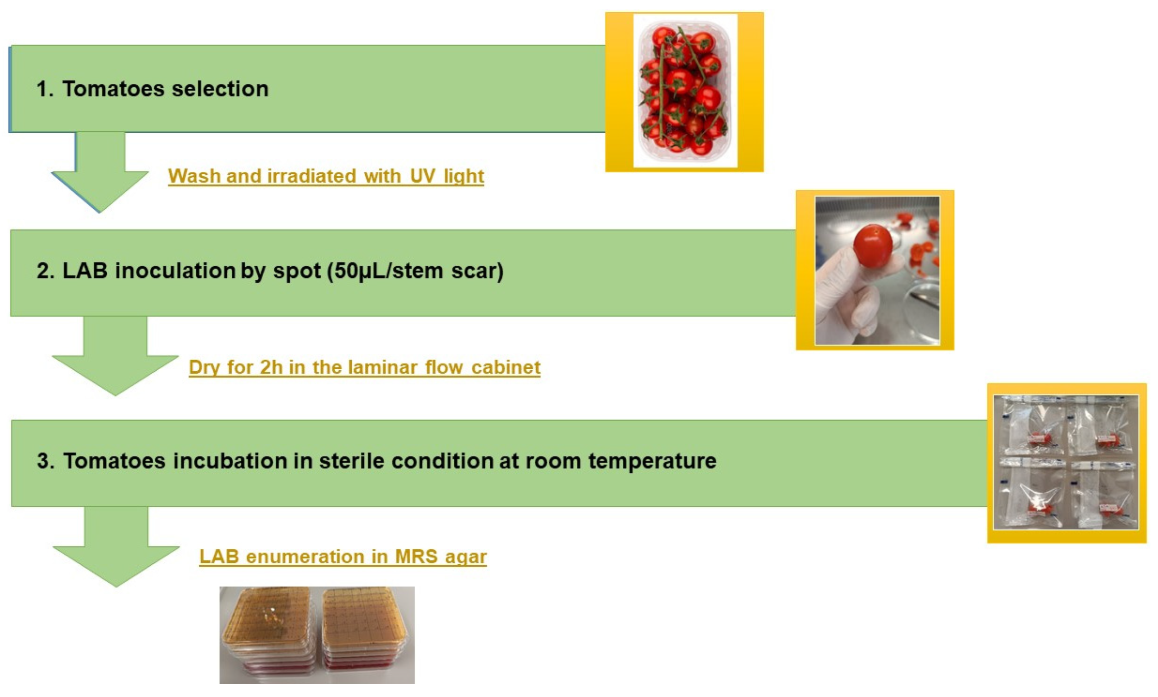 Microorganisms 11 02679 g002