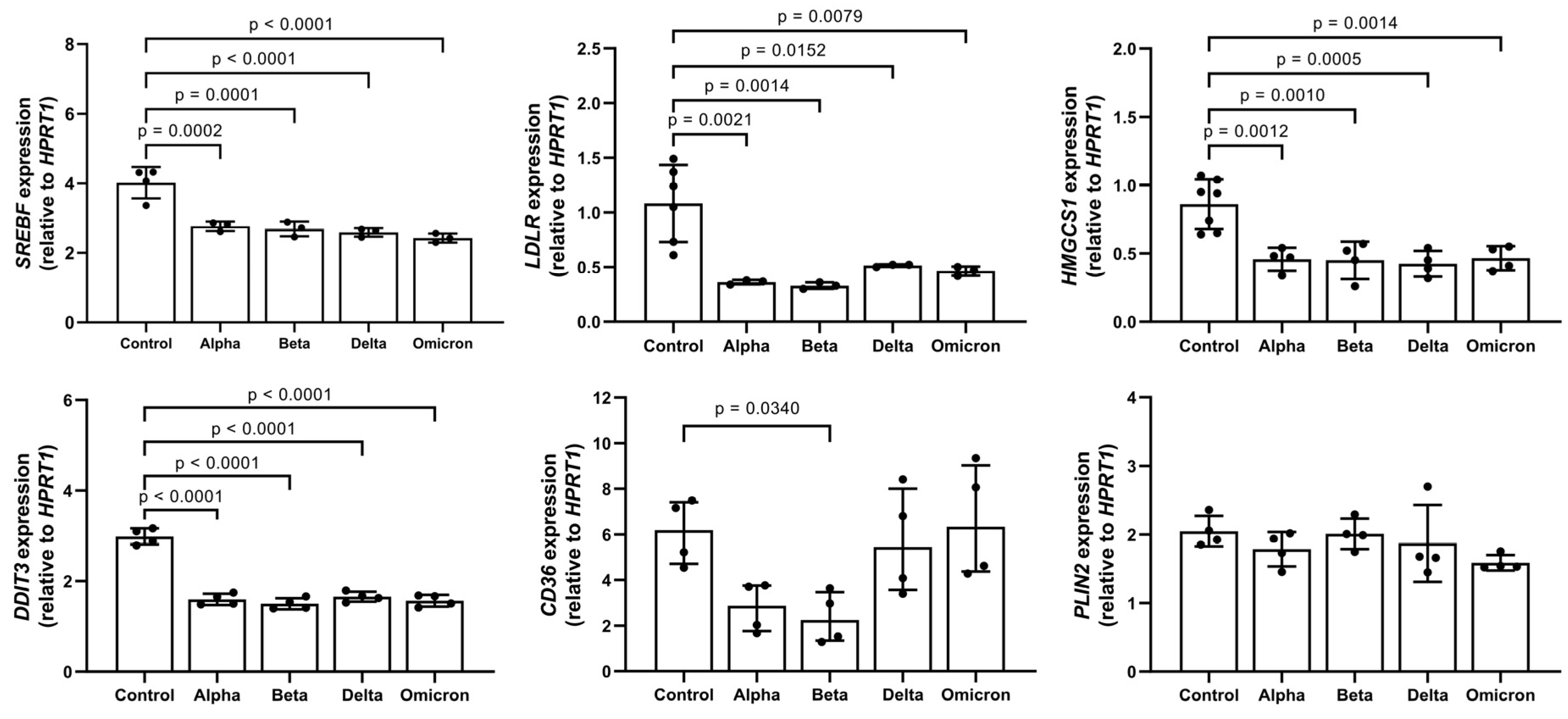 Microorganisms Free Full Text Human Pbmcs Form Lipid Droplets In Response To Spike Proteins 