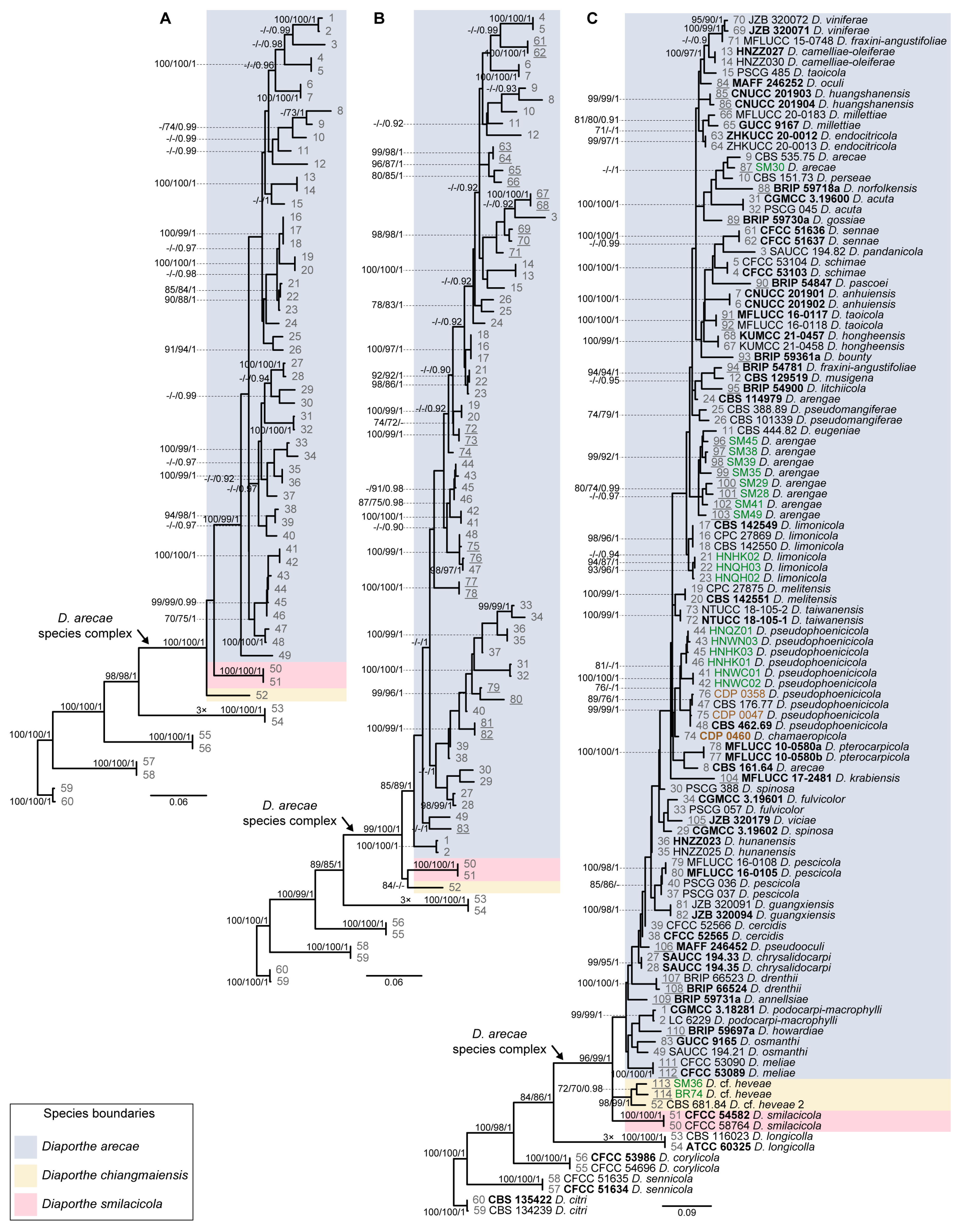 Microorganisms 11 02717 g002 Microorganisms 11 02717 g002