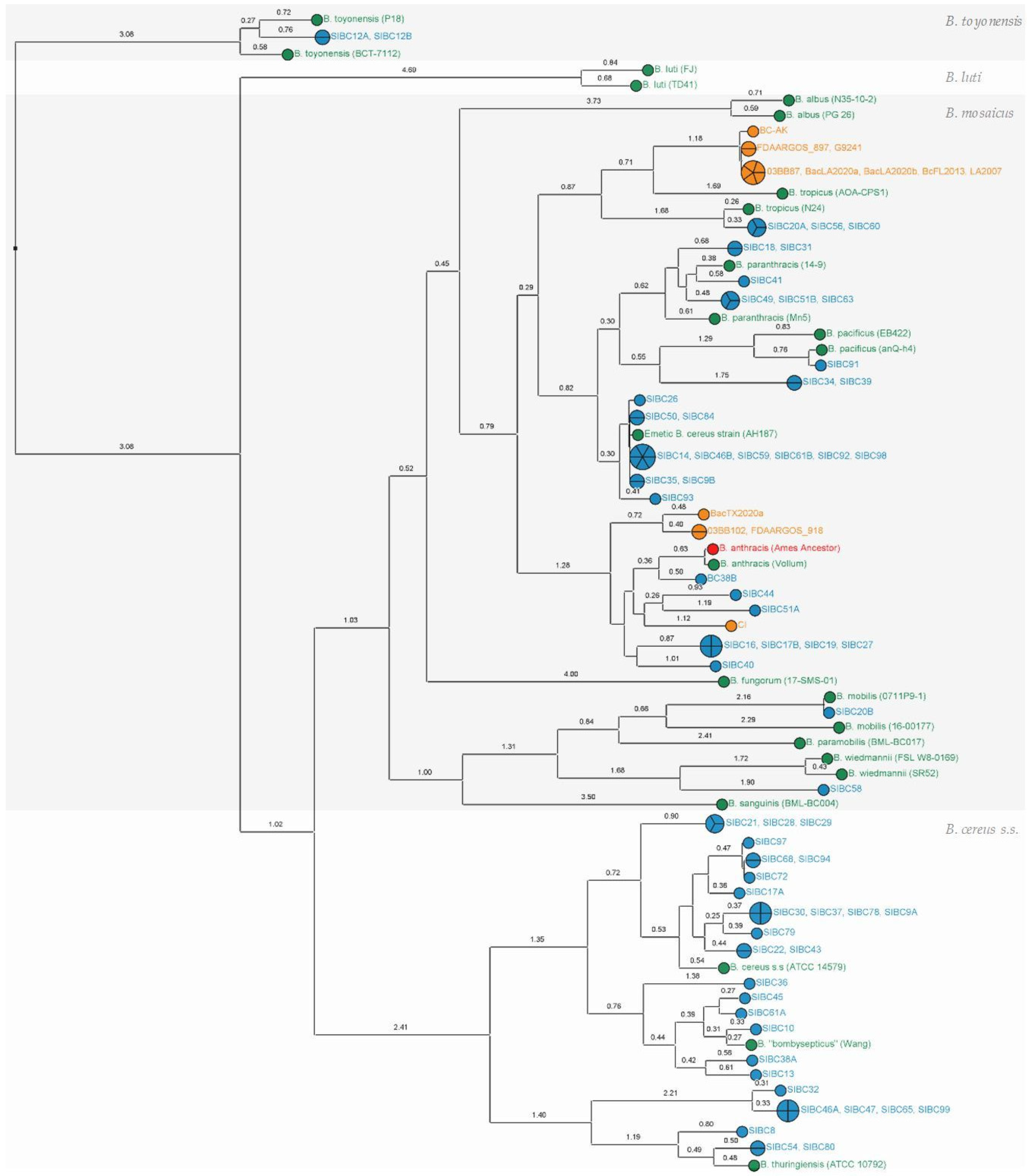 Microorganisms 11 02721 g001