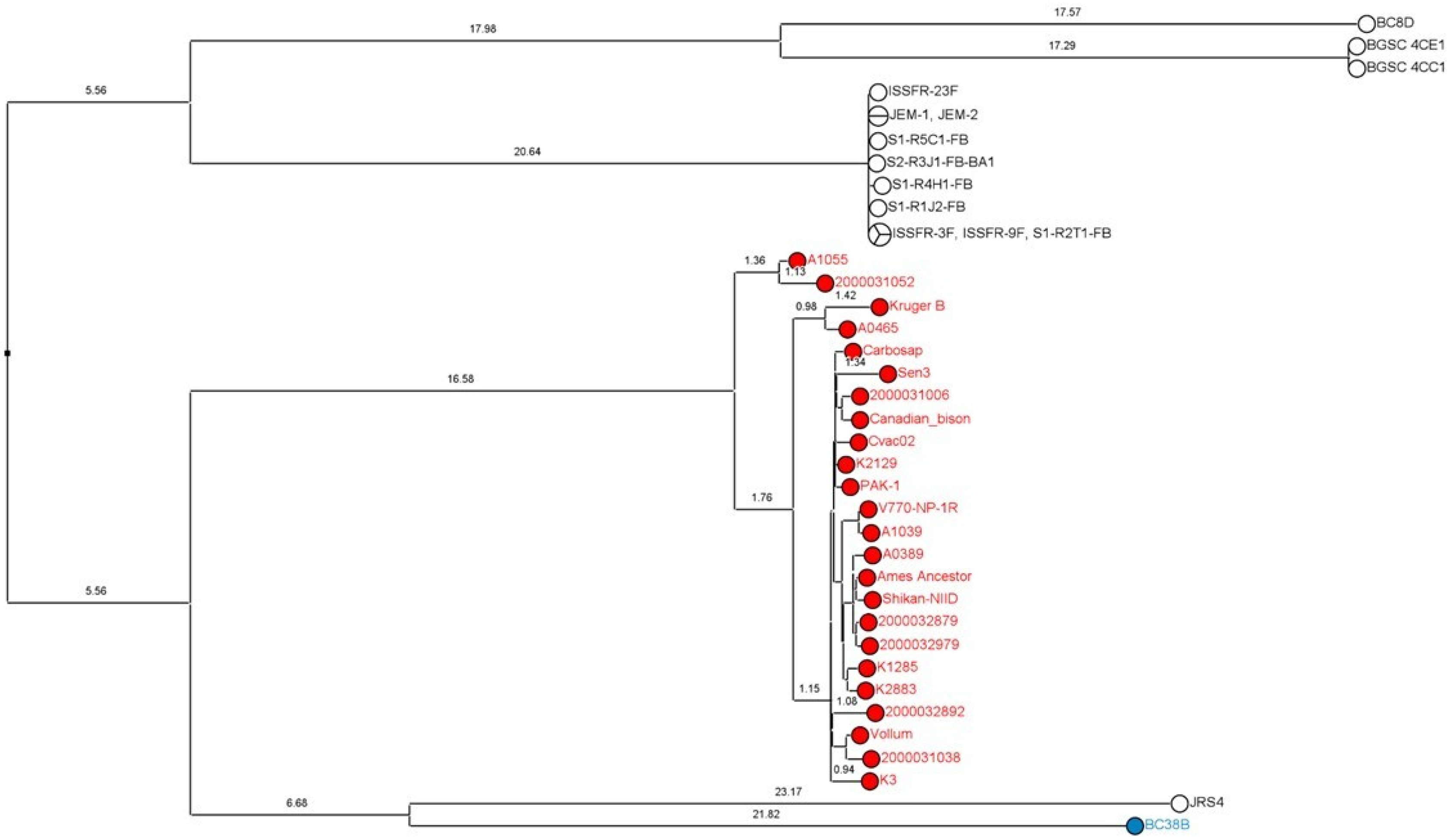 Microorganisms 11 02721 g002