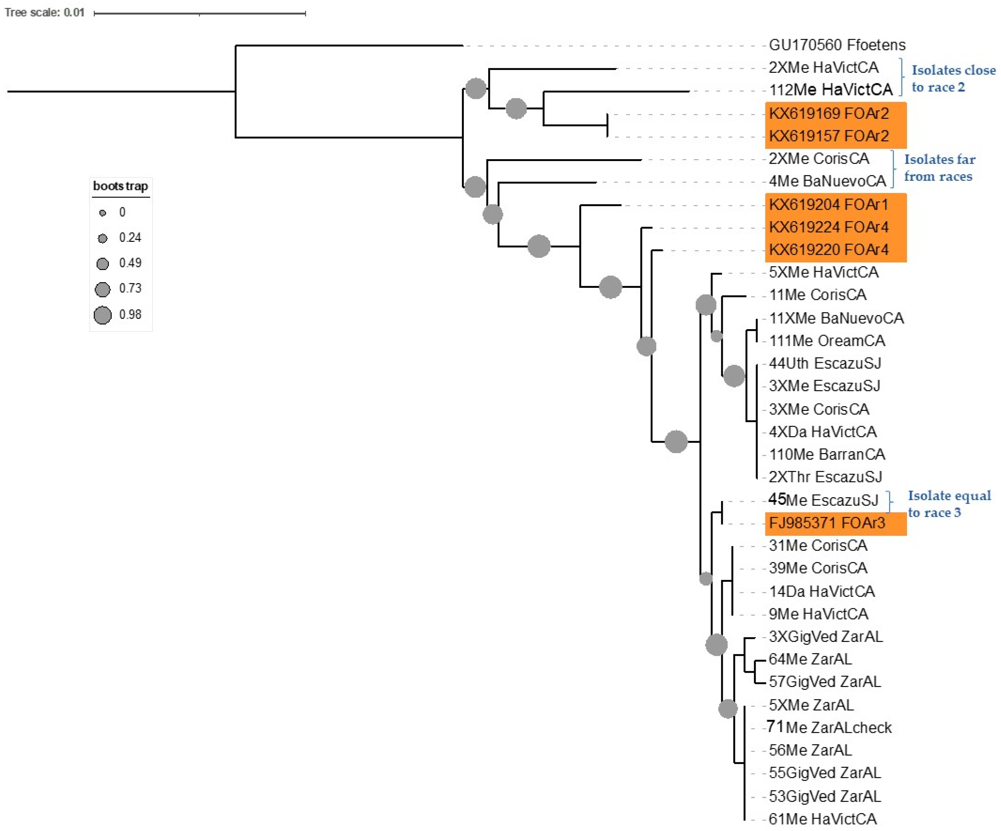 Microorganisms 11 02732 g002