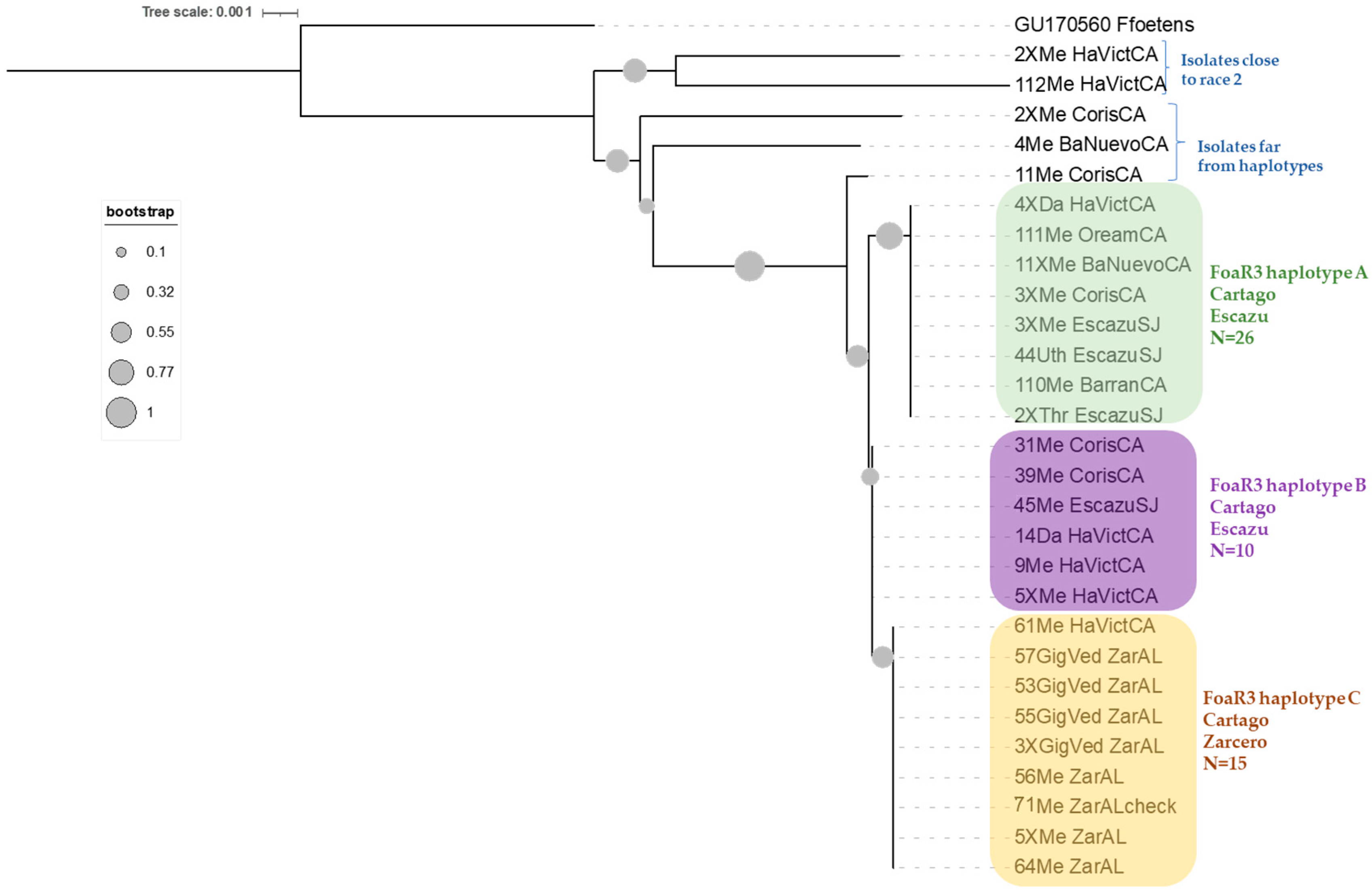 Microorganisms 11 02732 g003