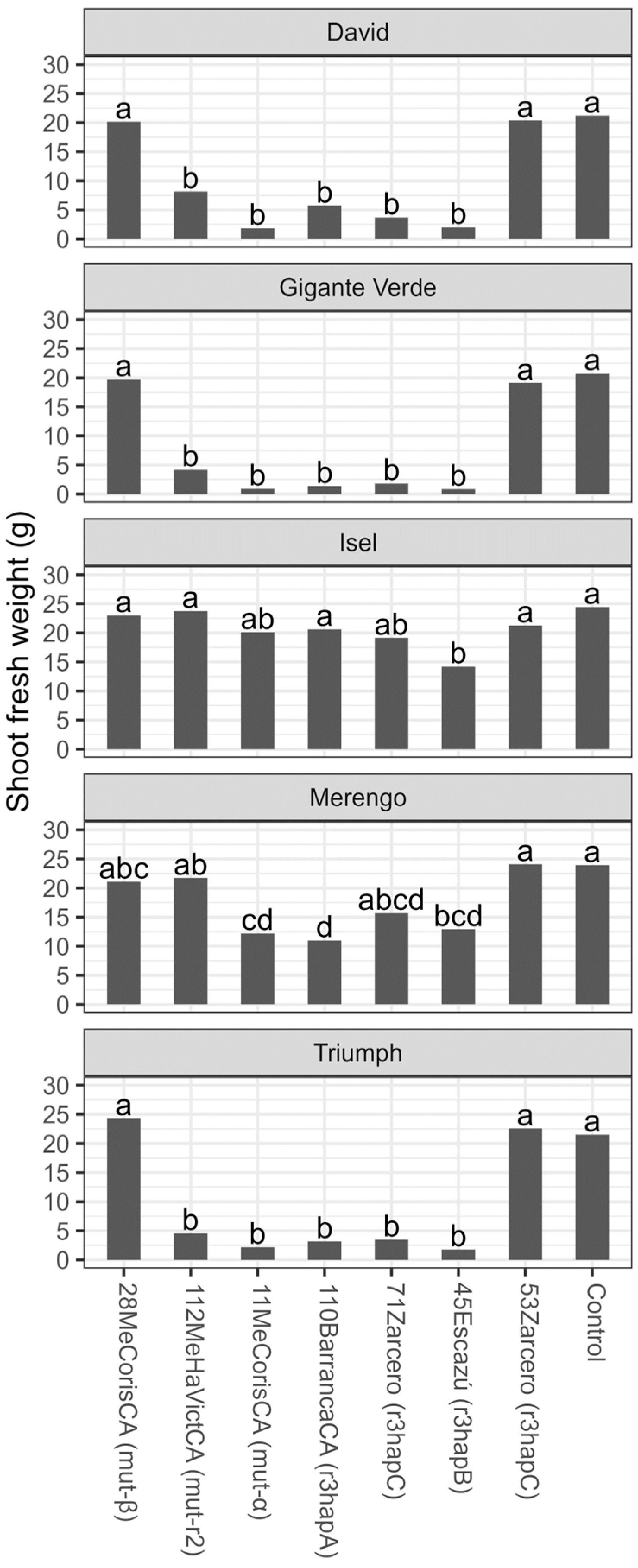 Microorganisms 11 02732 g008