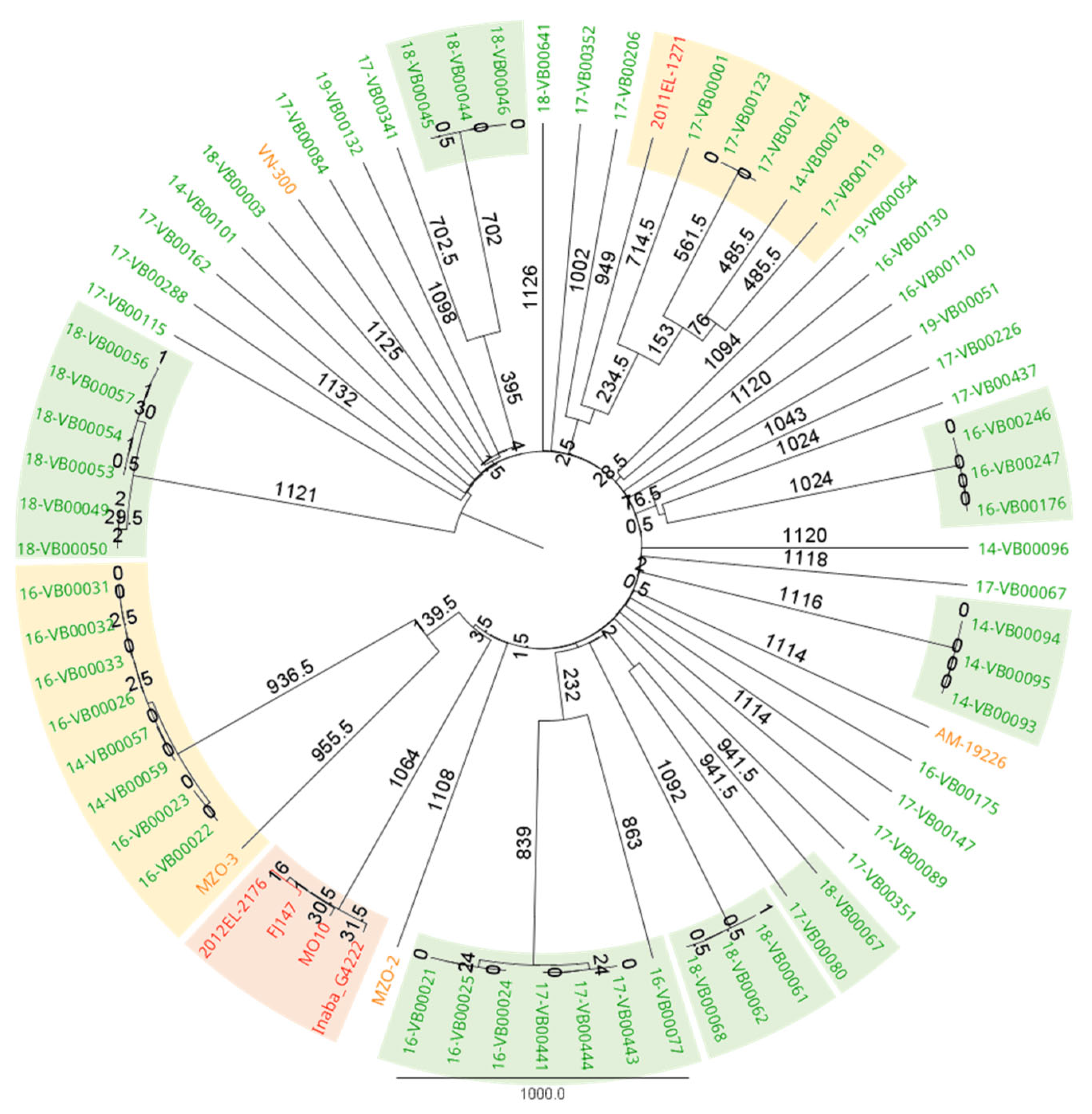 Microorganisms 11 02751 g001 Microorganisms 11 02751 g001