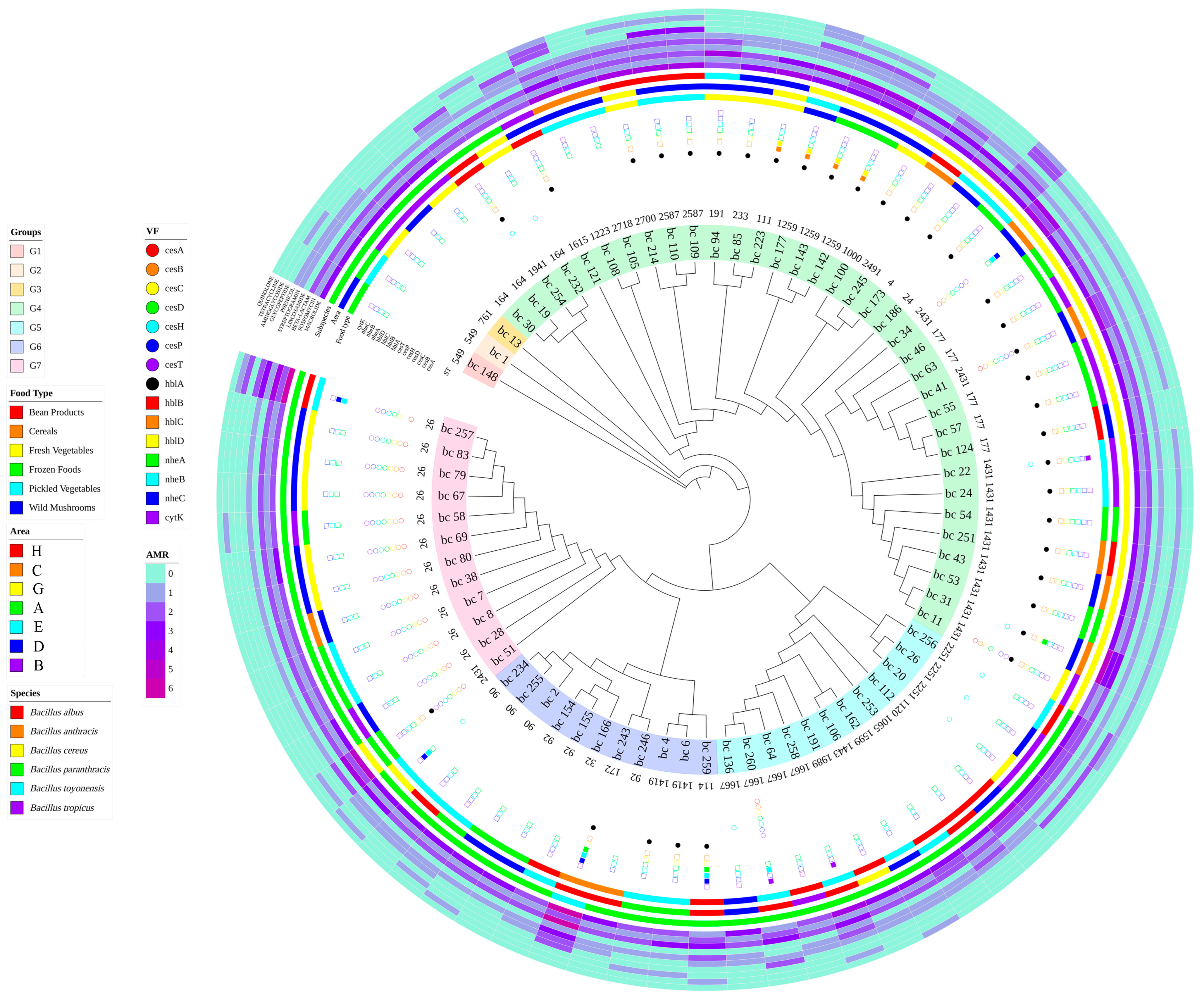 Microorganisms 11 02763 g005