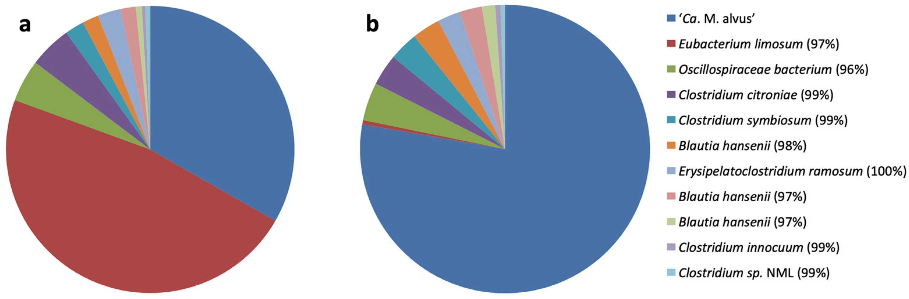 Microorganisms 11 02794 g001