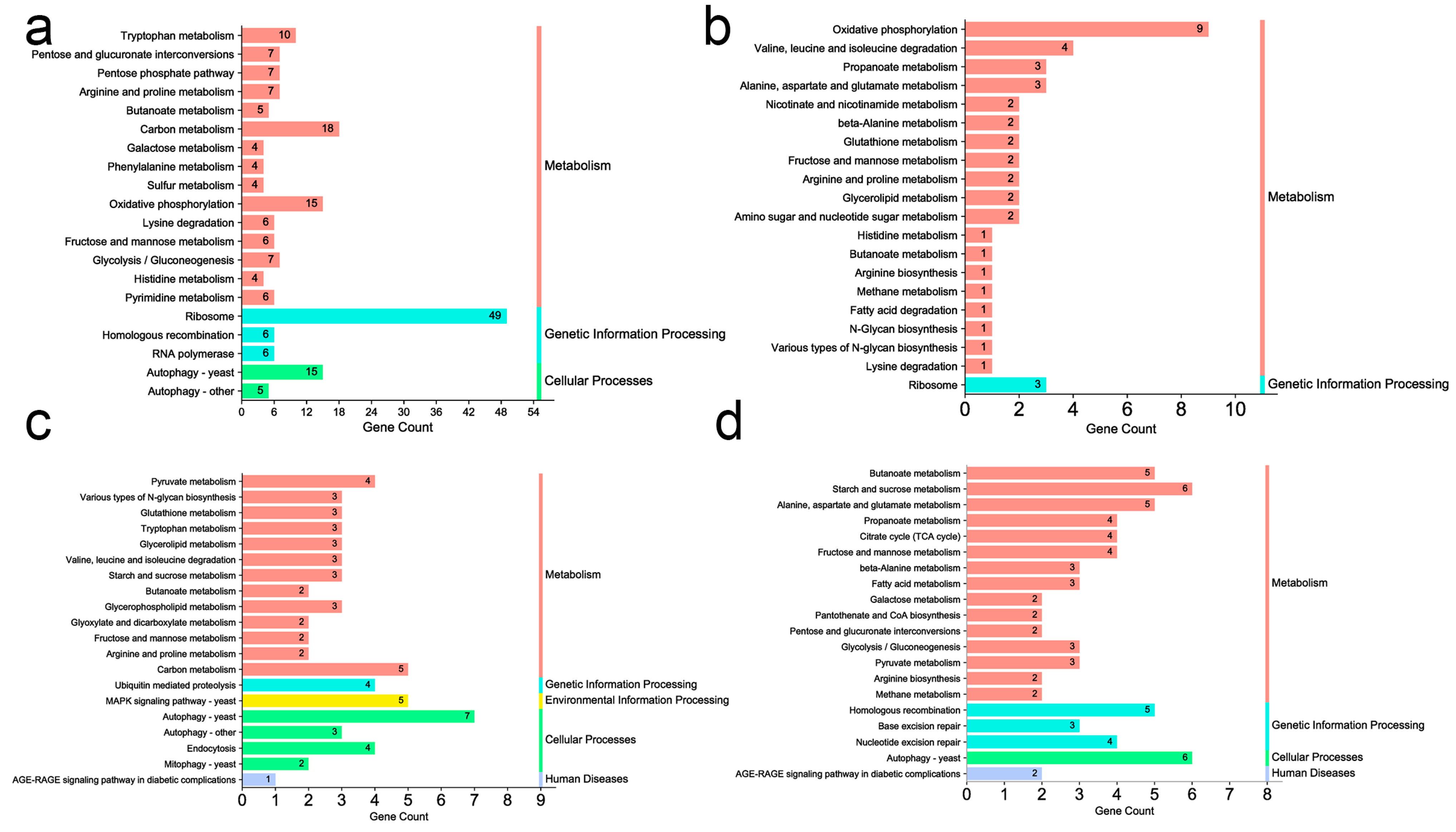 Microorganisms 11 02798 g001 Microorganisms 11 02798 g001