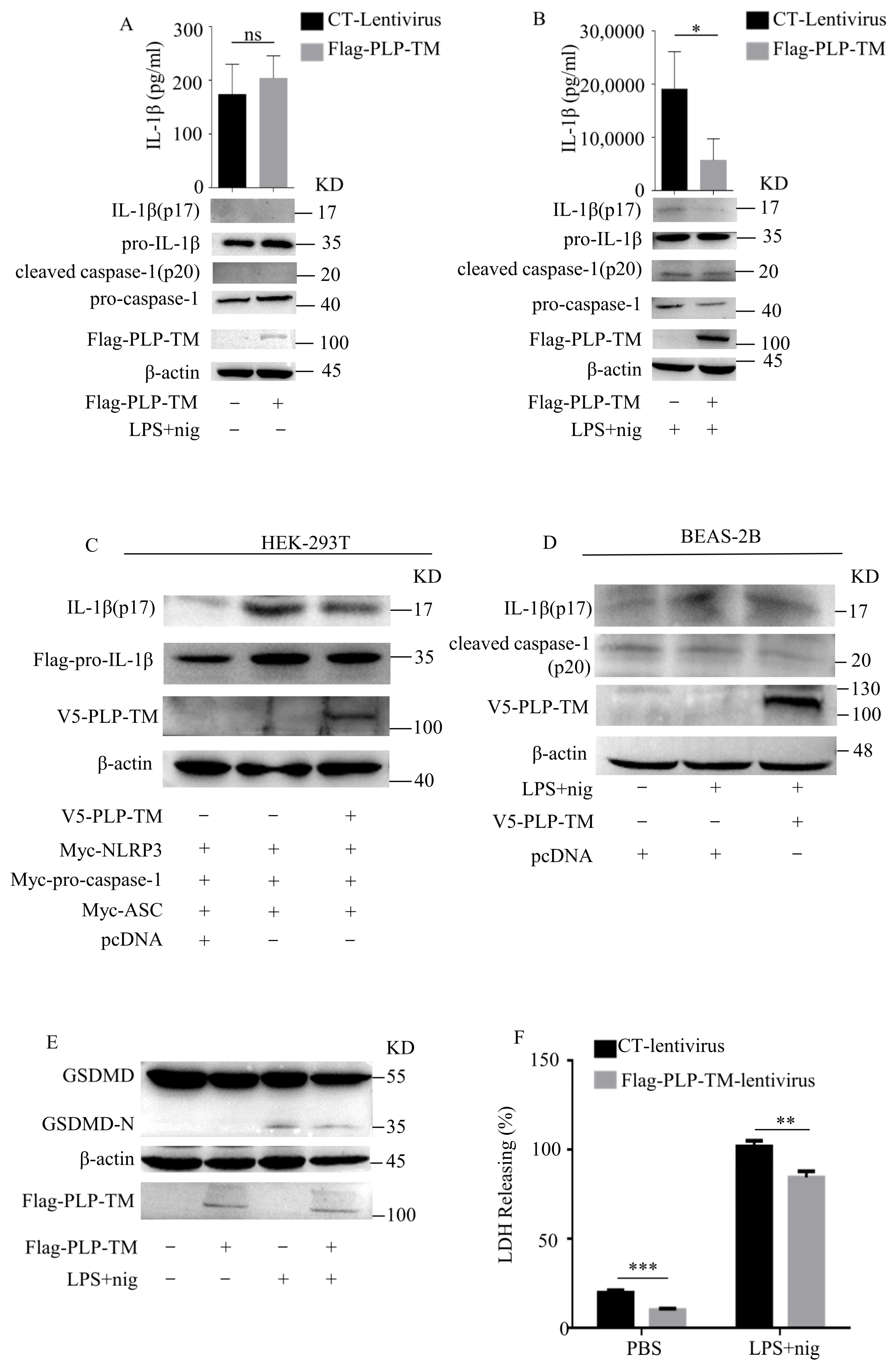 Microorganisms 11 02799 g003