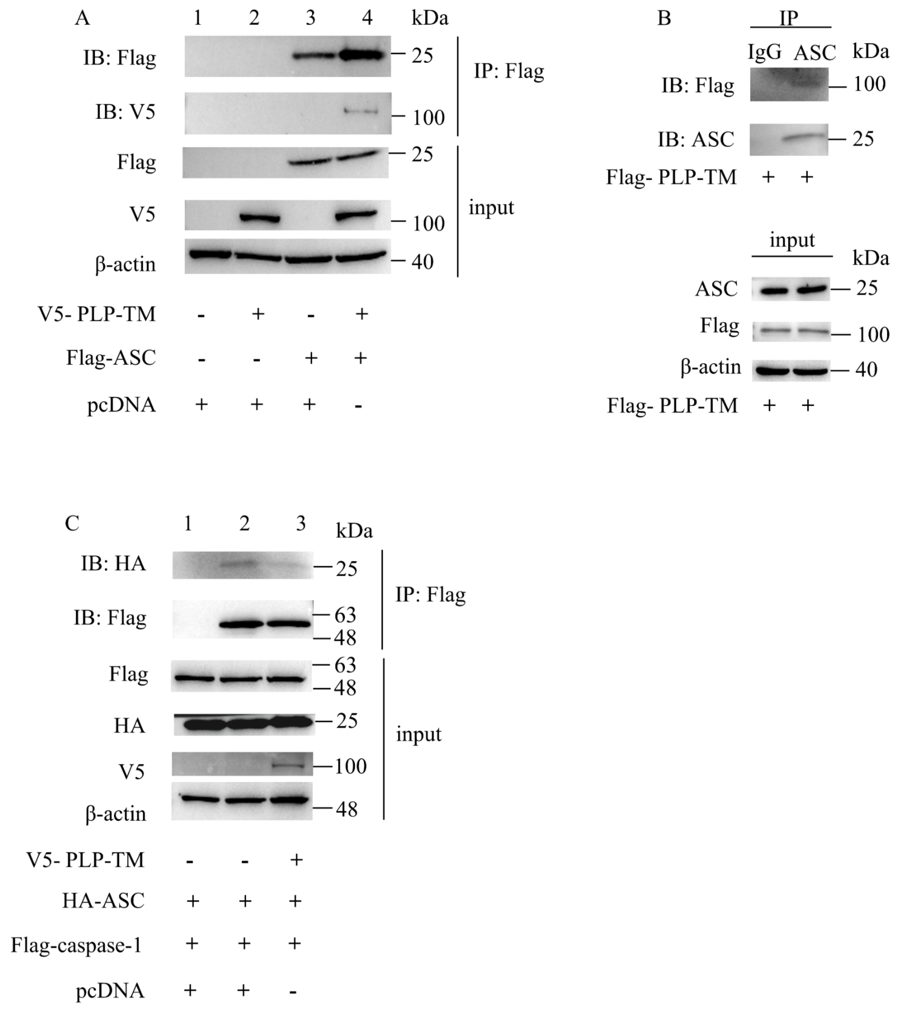 Microorganisms 11 02799 g004