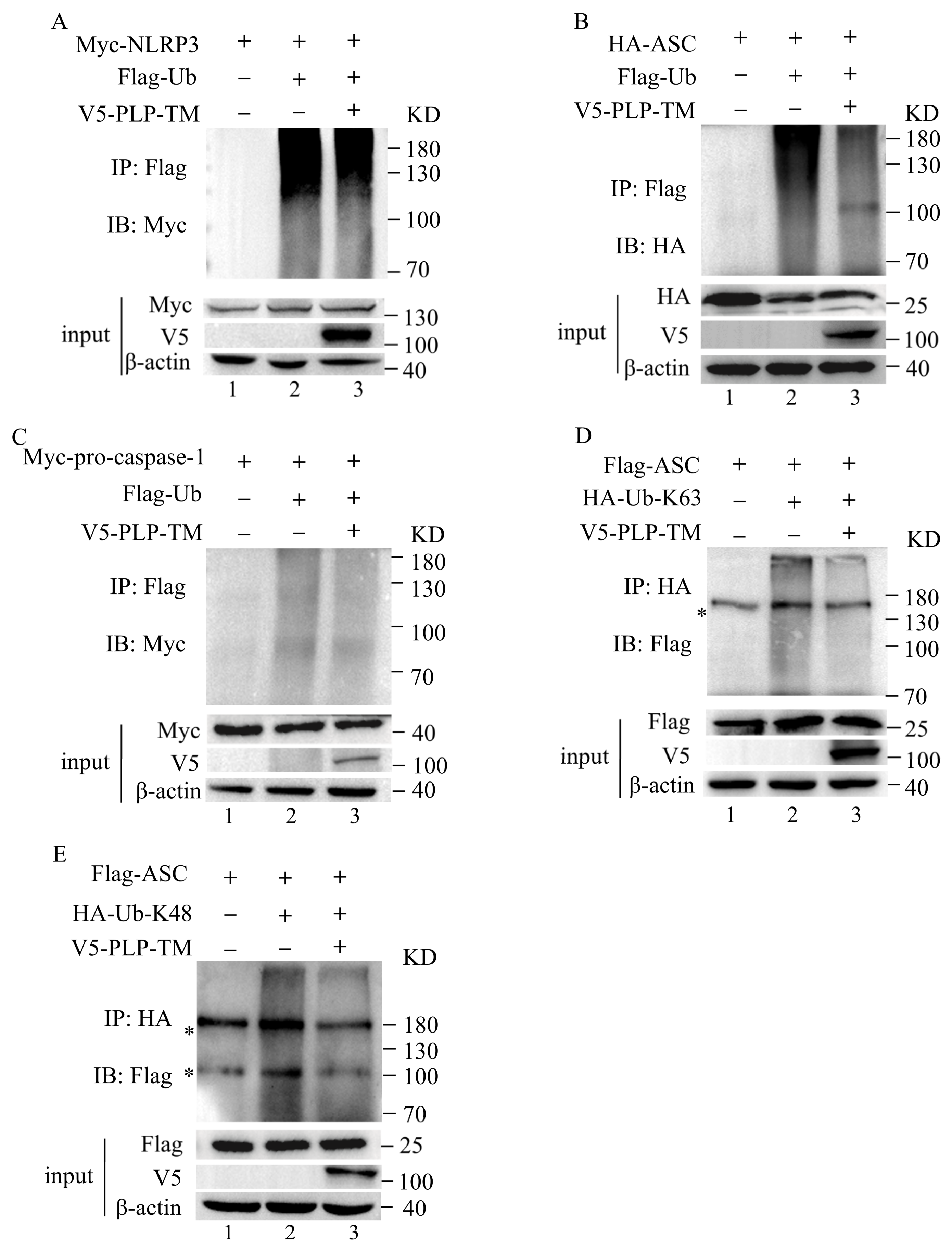 Microorganisms 11 02799 g006