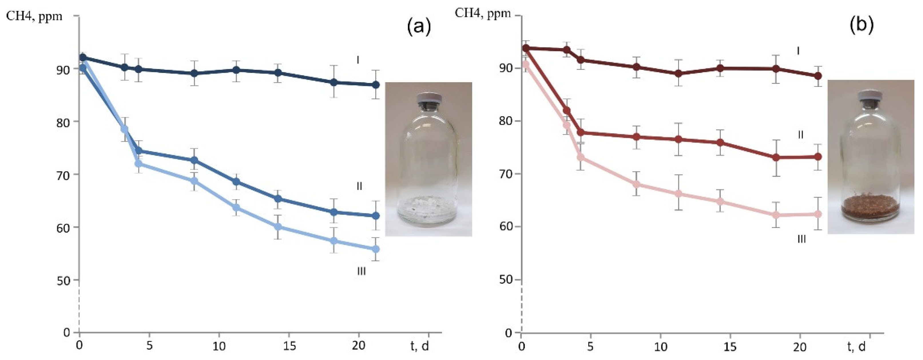 Microorganisms 11 02800 g006