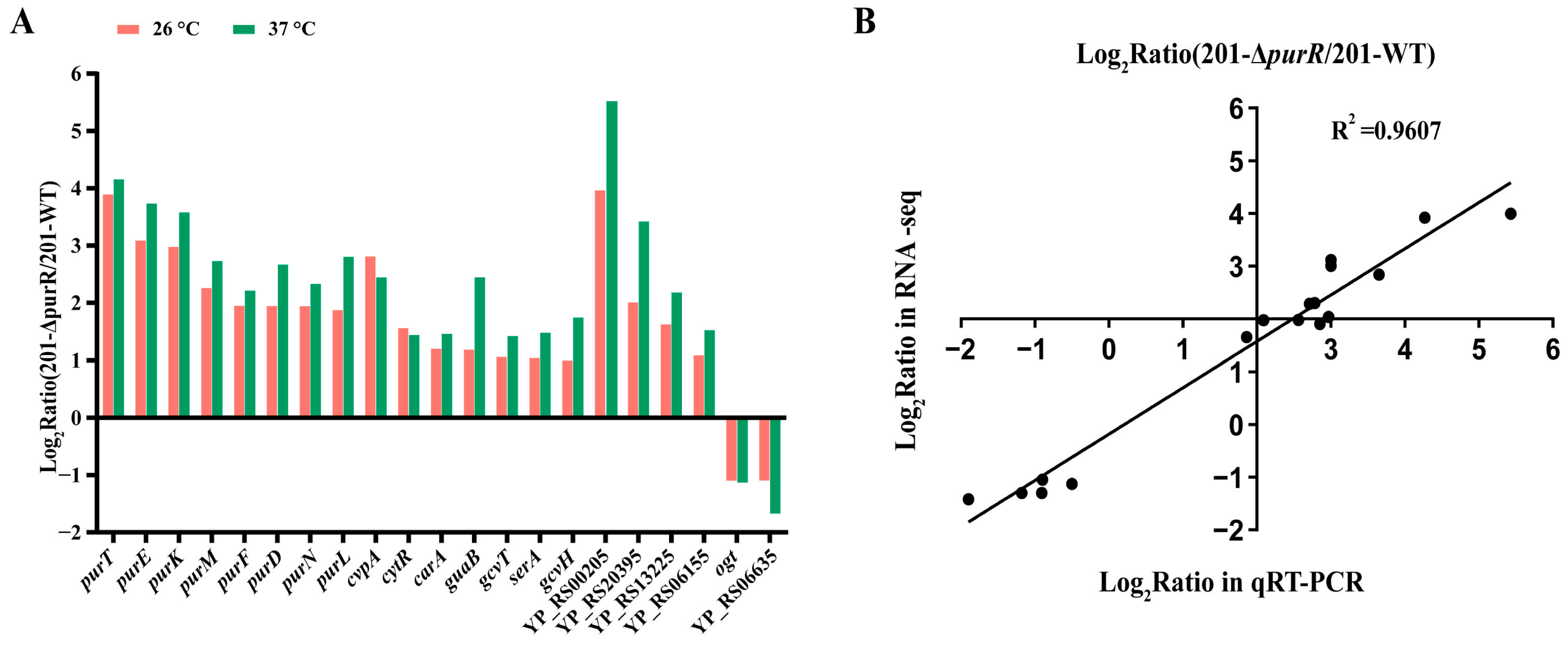 Microorganisms 11 02801 g004