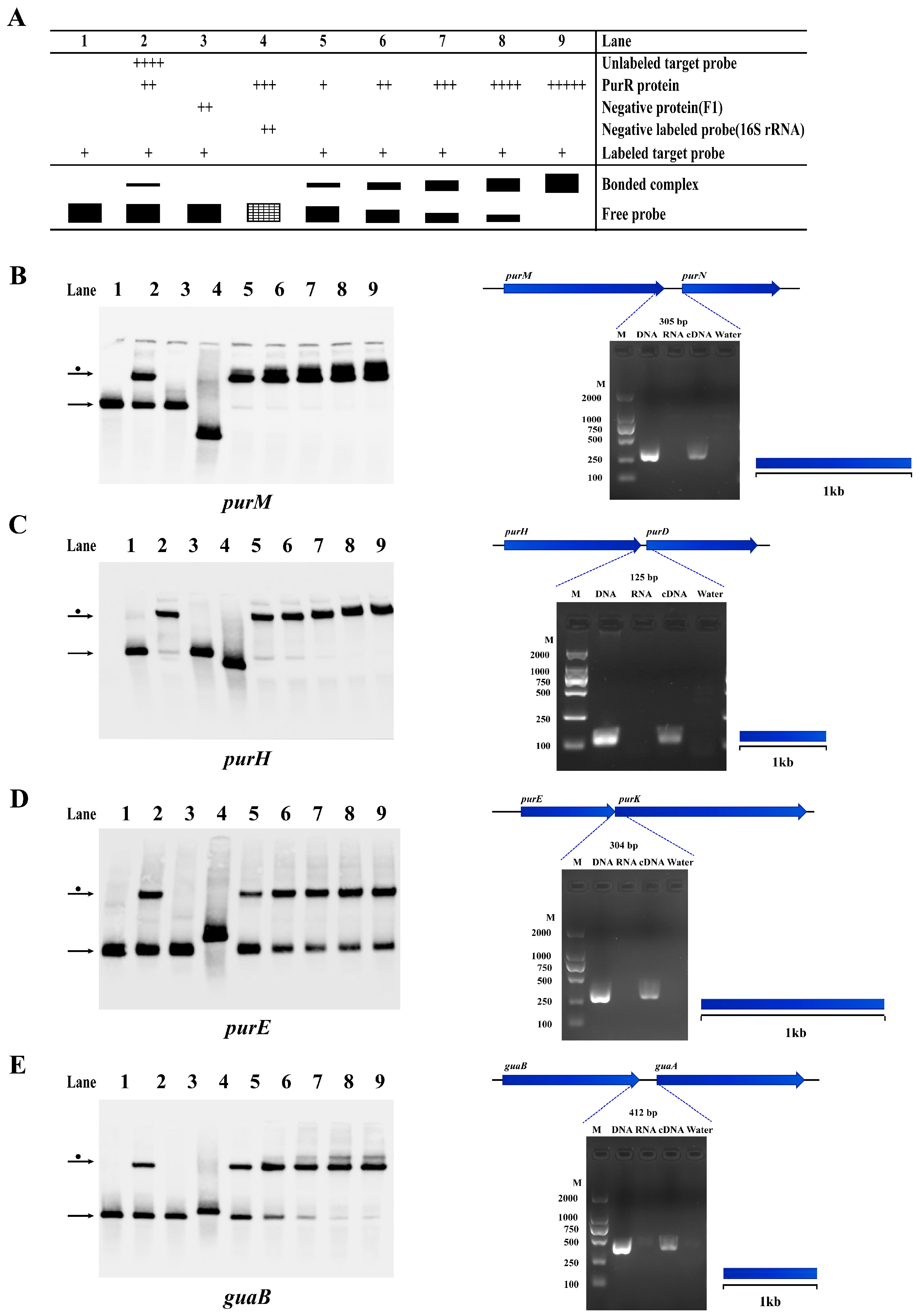 Microorganisms 11 02801 g006