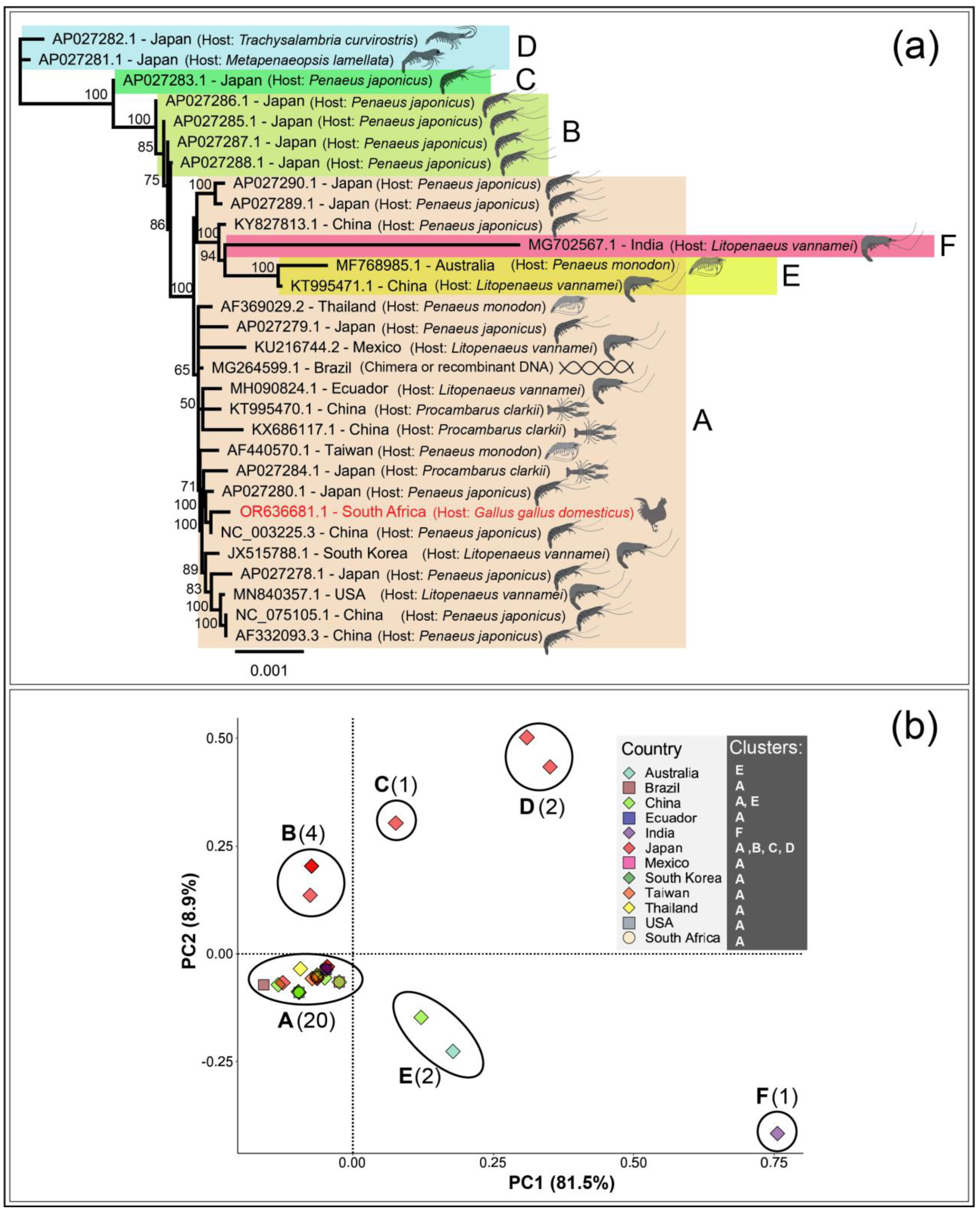 Microorganisms 11 02802 g003
